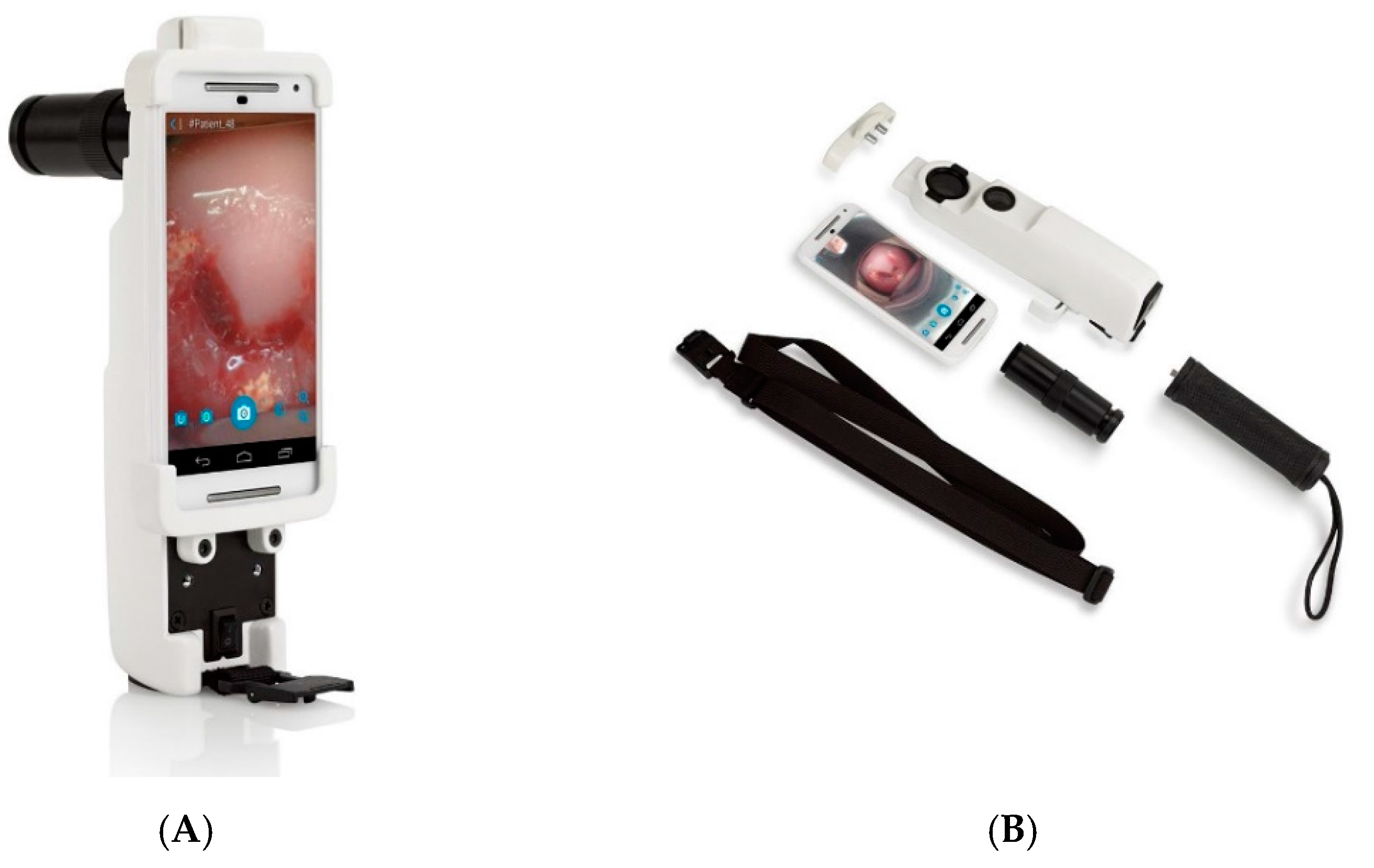 Diagnostics 06 00020 g001