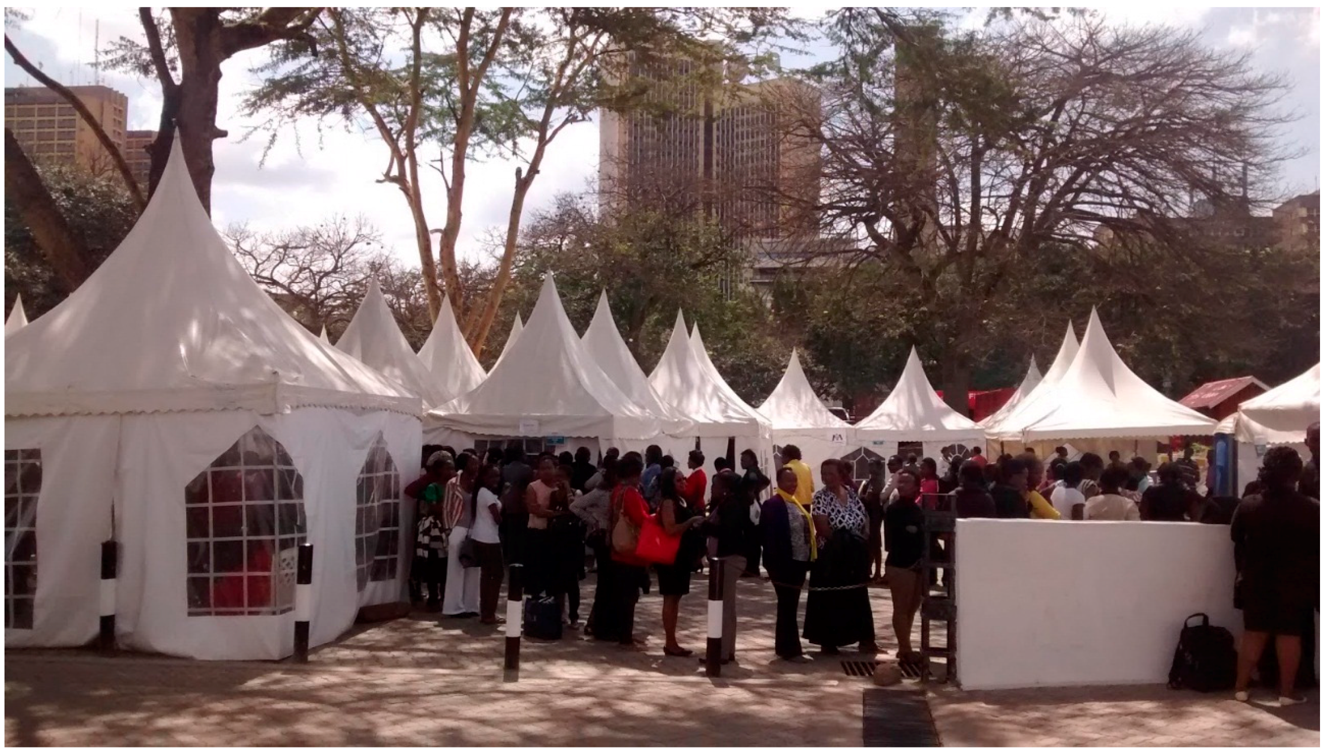 Diagnostics 06 00020 g002