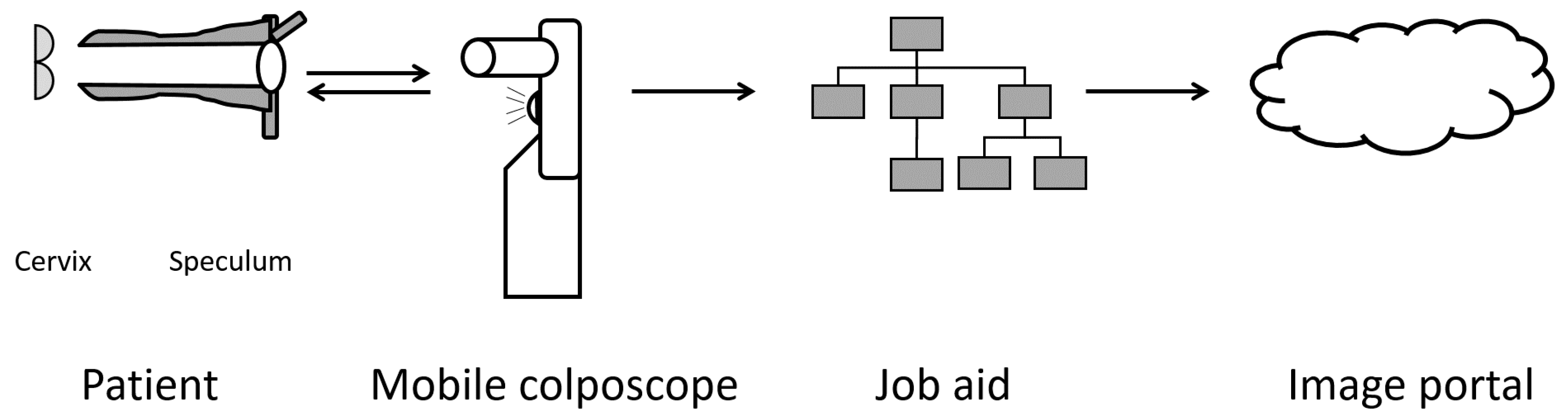 Diagnostics 06 00020 g003