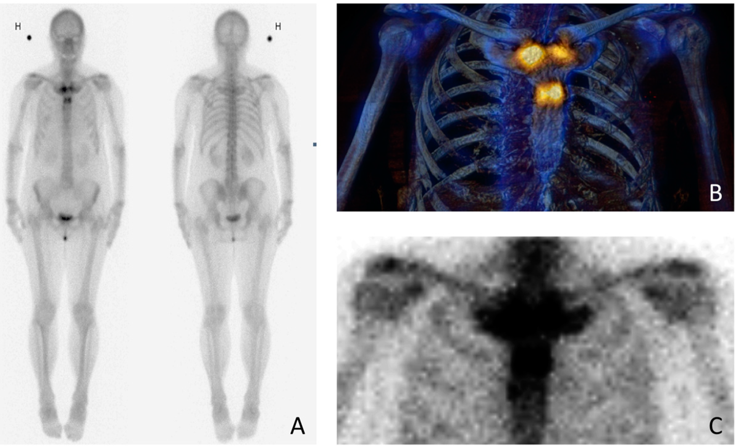 Diagnostics 06 00029 g002
