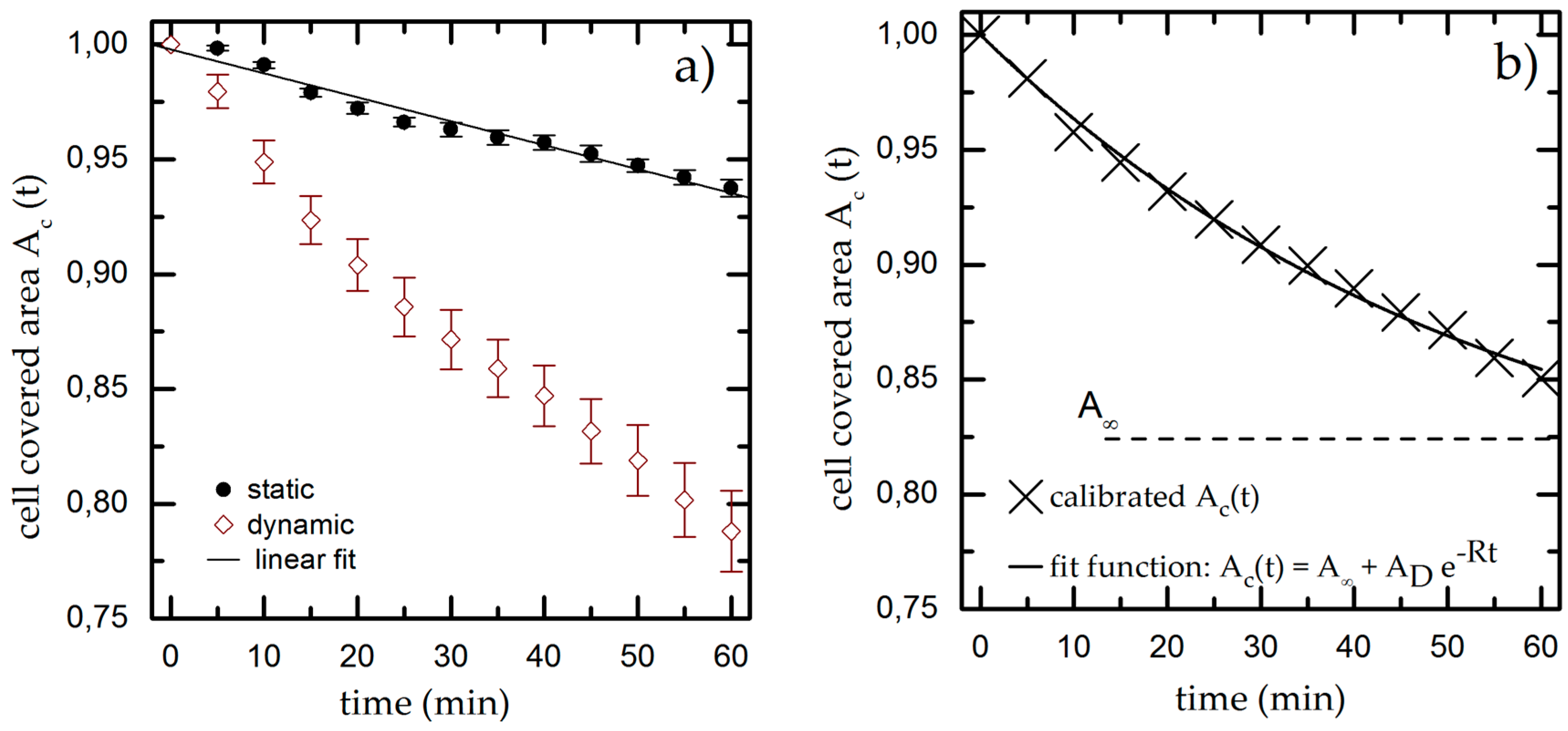 Diagnostics 06 00038 g003