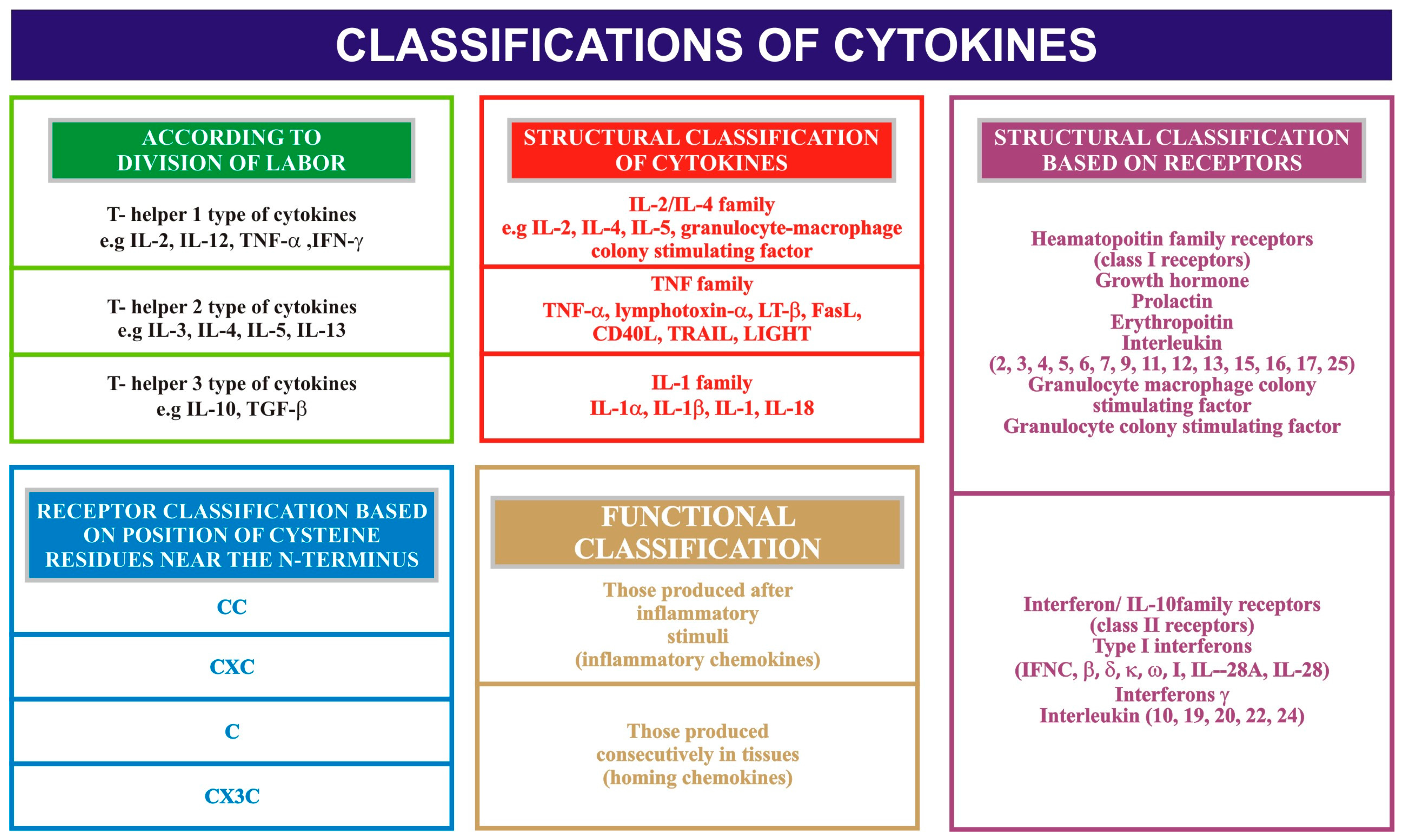 Diagnostics 07 00021 g001
