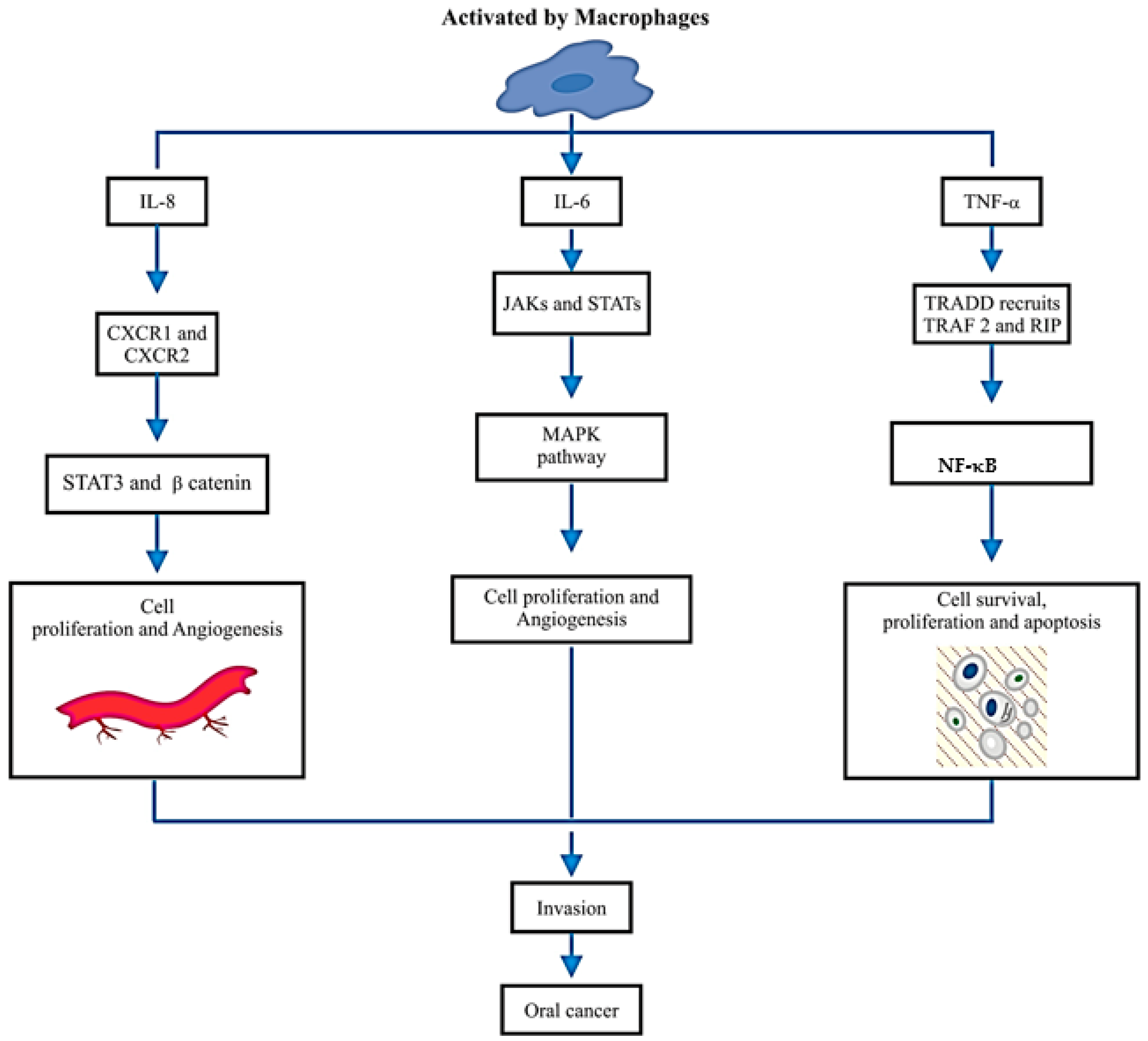 Diagnostics 07 00021 g002