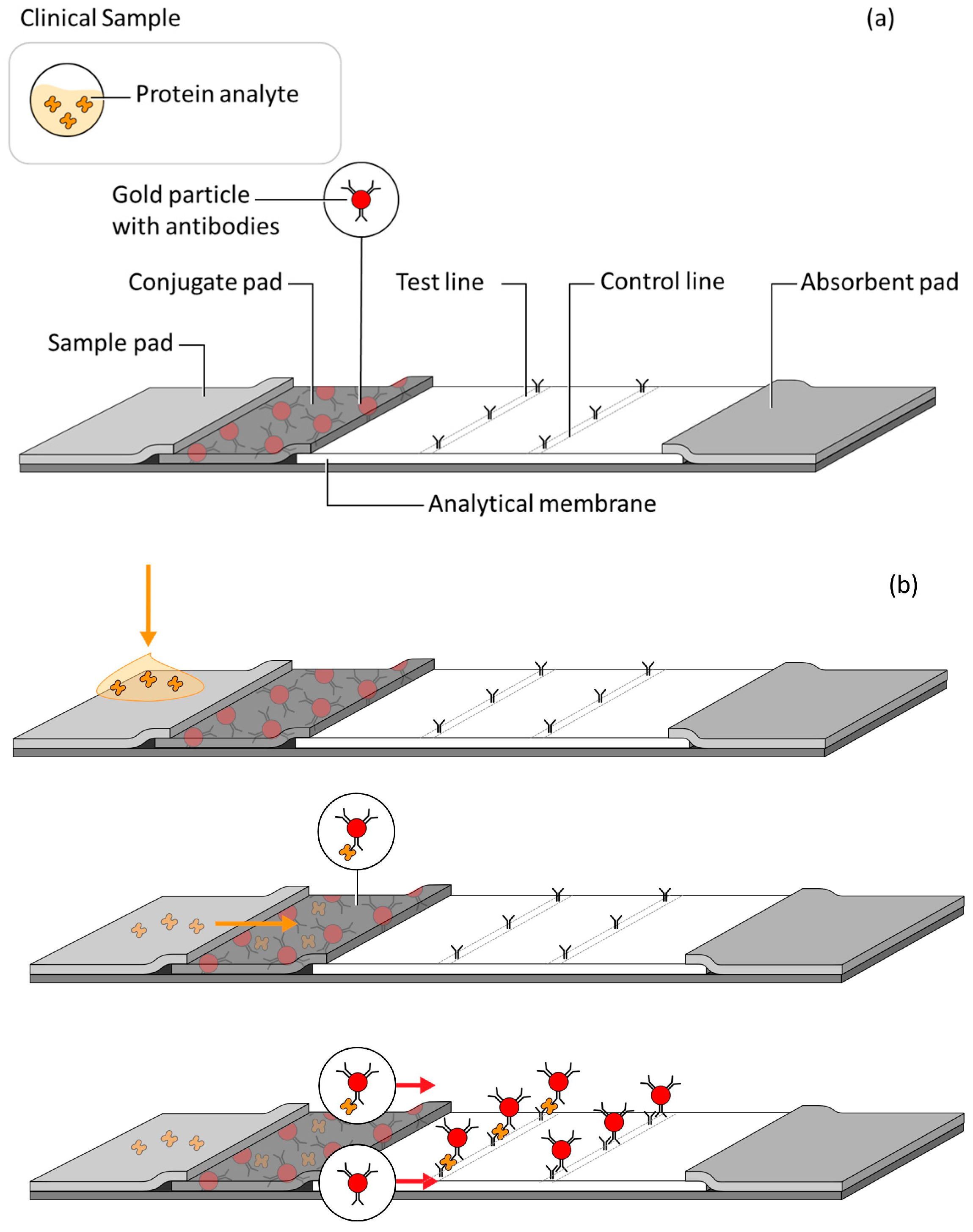 Diagnostics 07 00029 g001