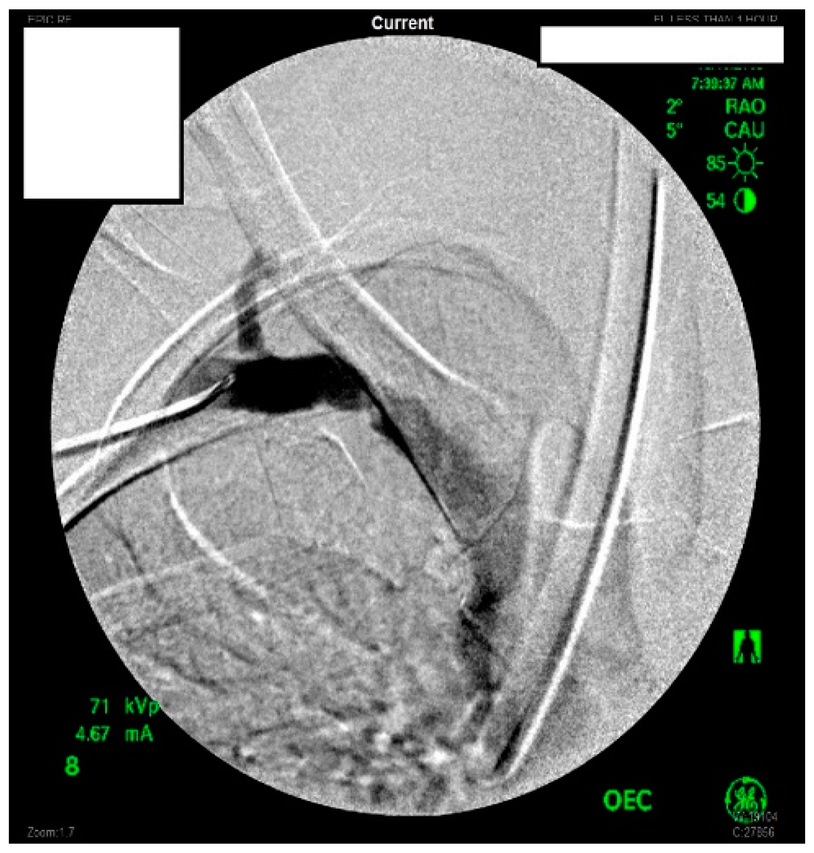Diagnostics 07 00034 g001