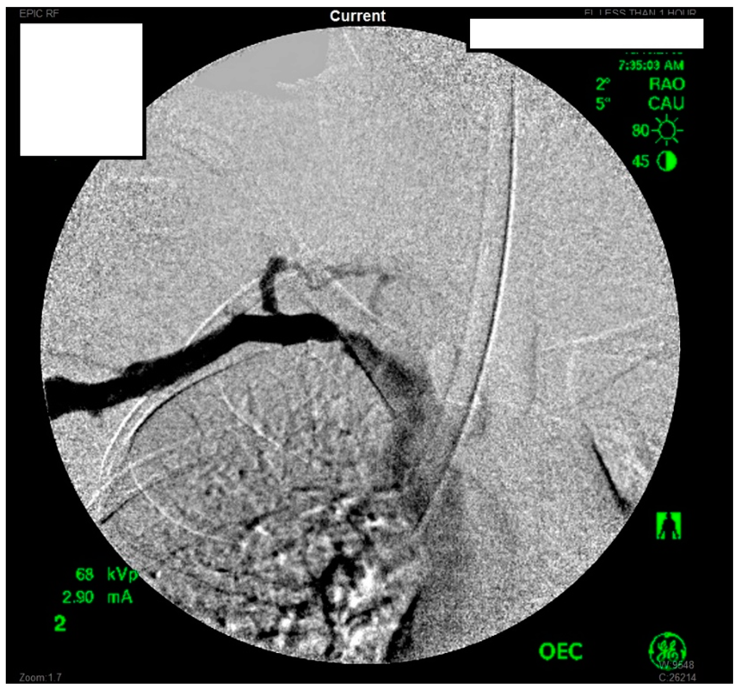 Diagnostics 07 00034 g002
