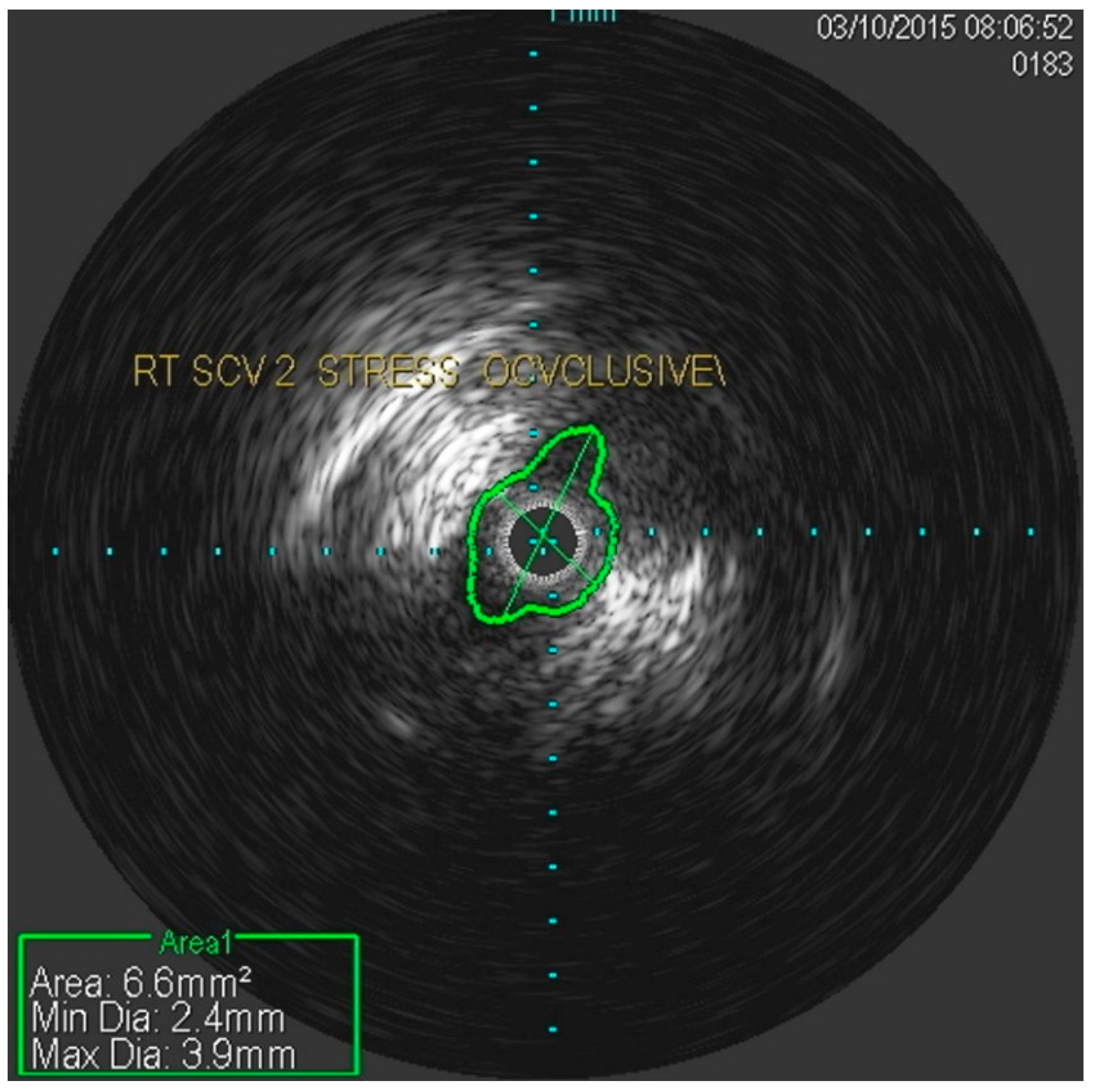 Diagnostics 07 00034 g004