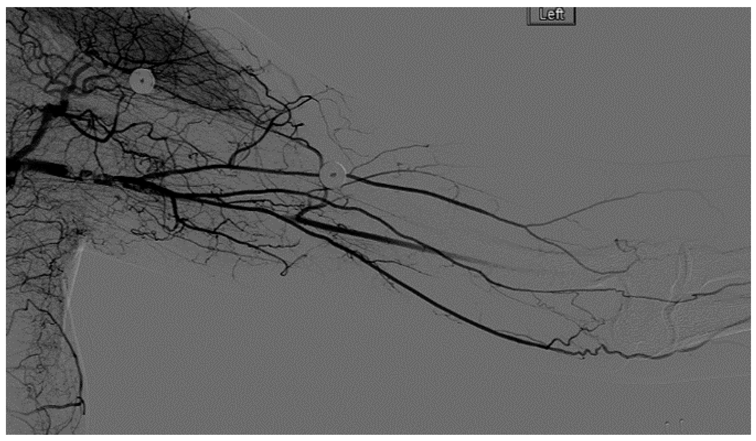 Diagnostics 07 00034 g007