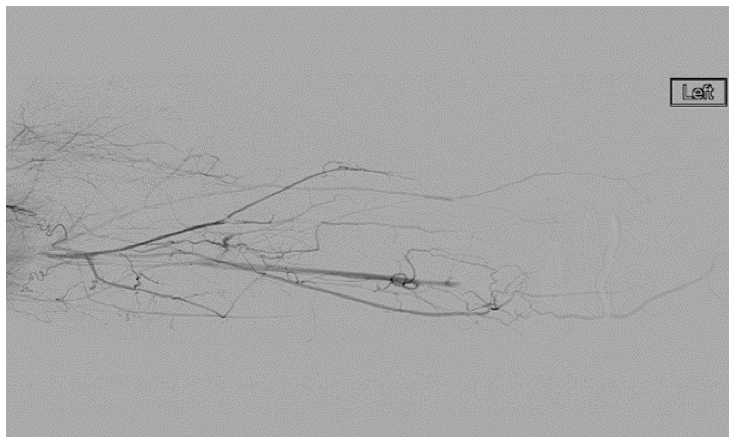 Diagnostics 07 00034 g009