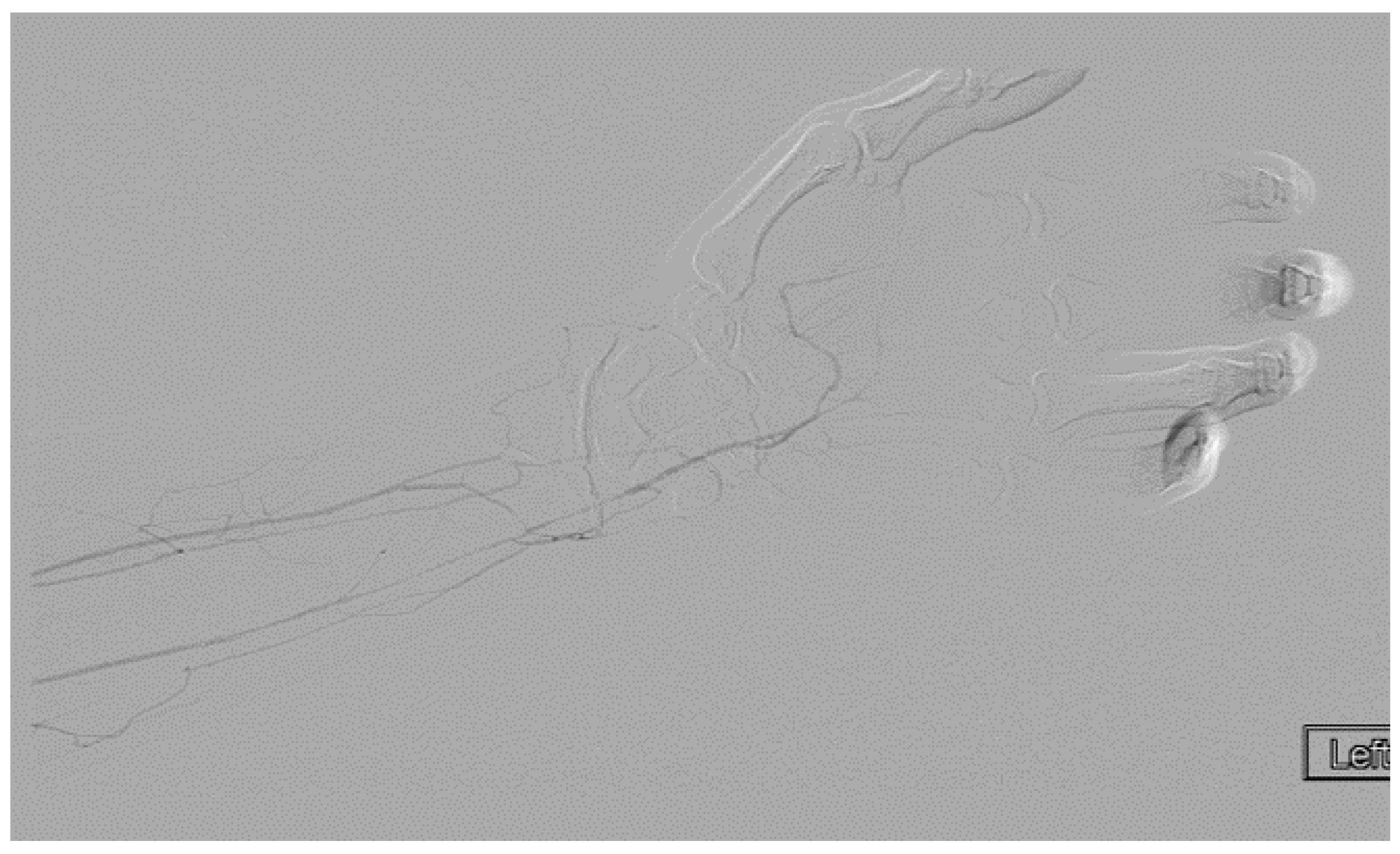 Diagnostics 07 00034 g010