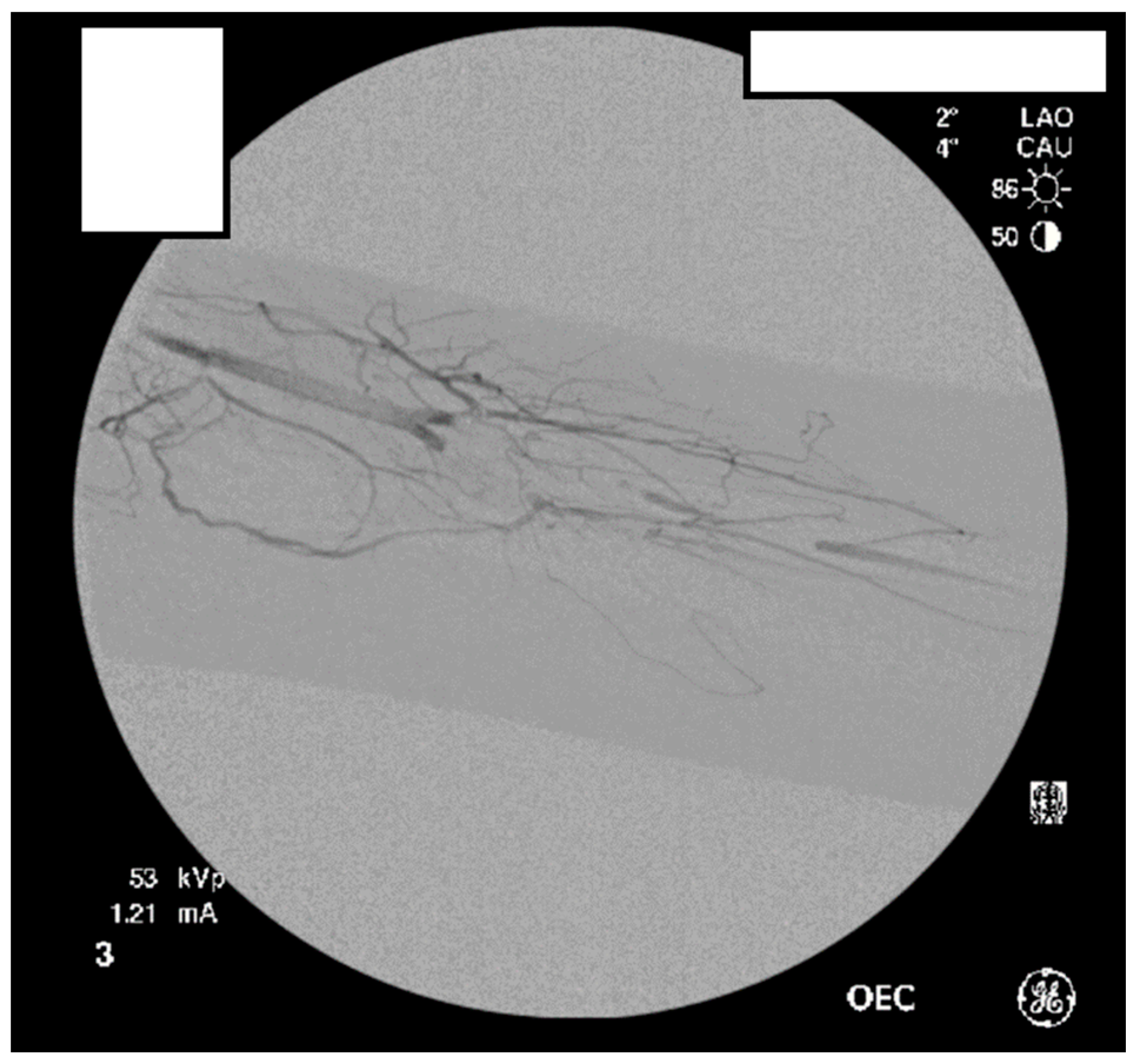Diagnostics 07 00034 g011