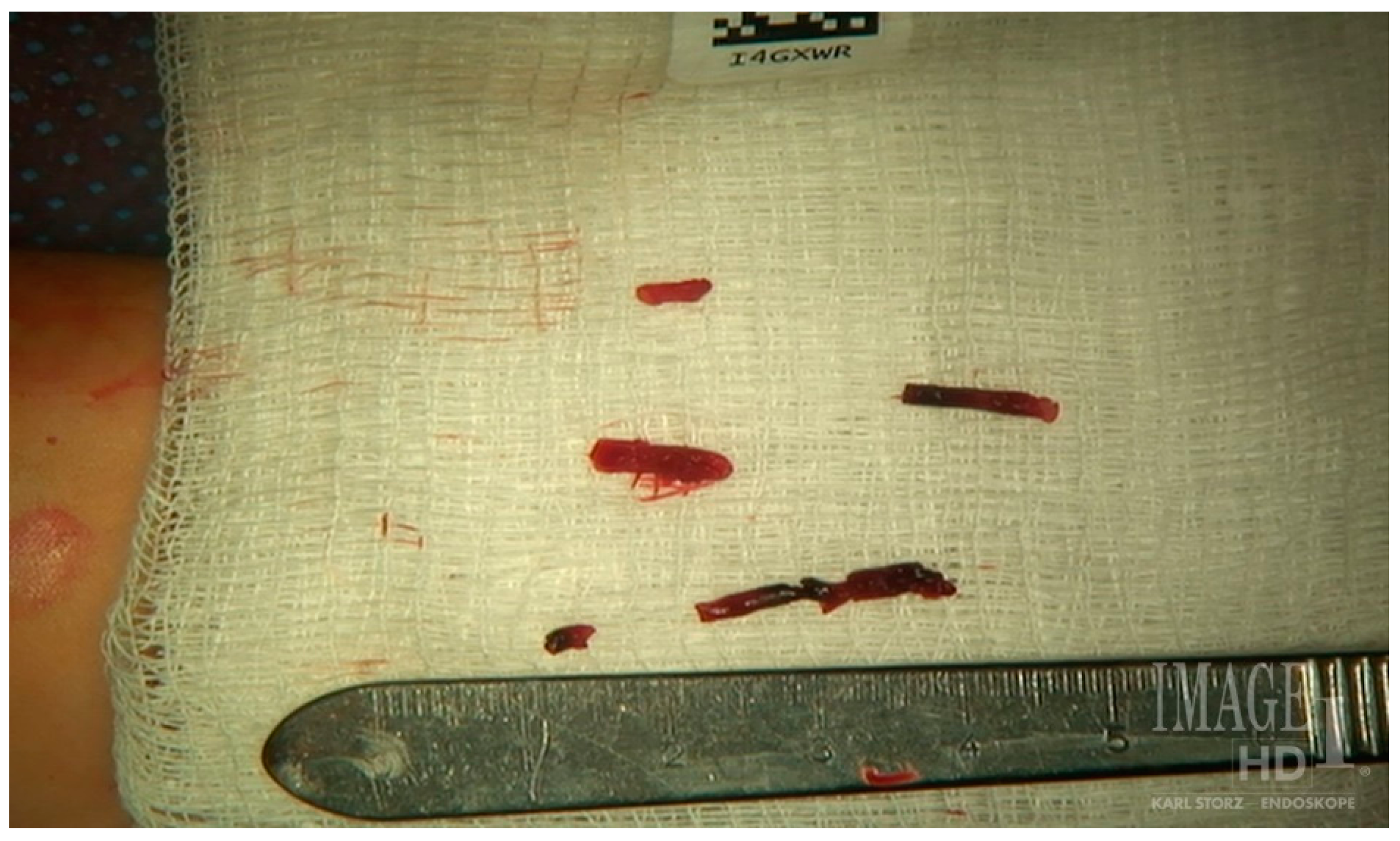 Diagnostics 07 00034 g012