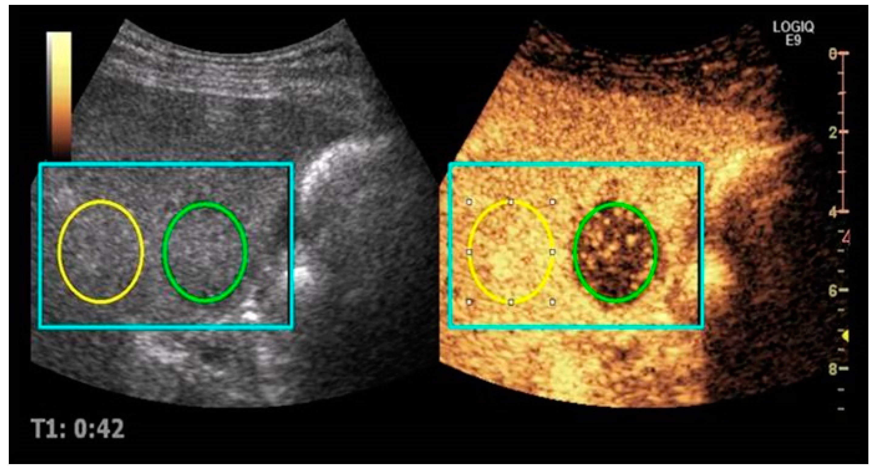 Diagnostics 07 00035 g001