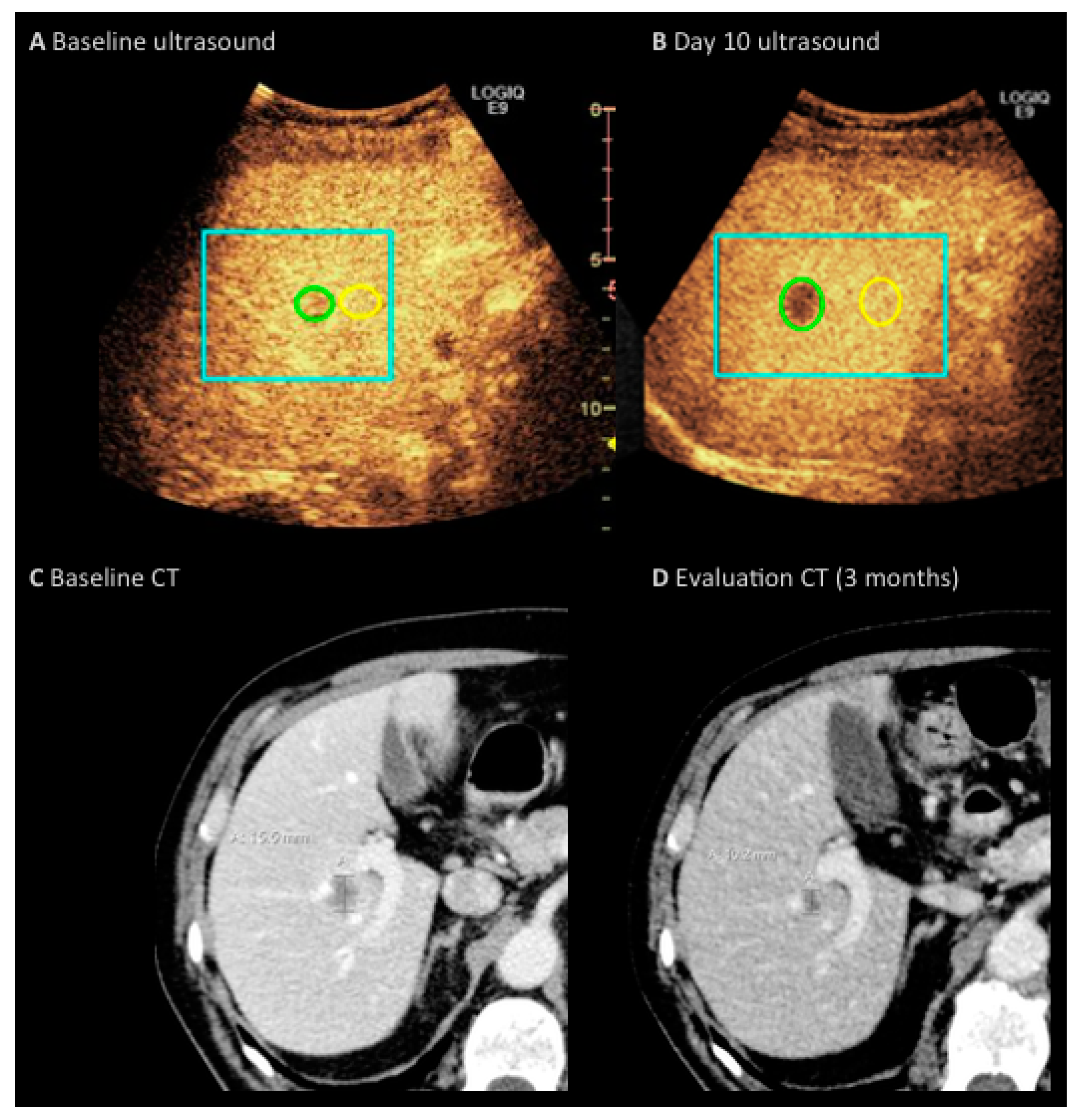 Diagnostics 07 00035 g003