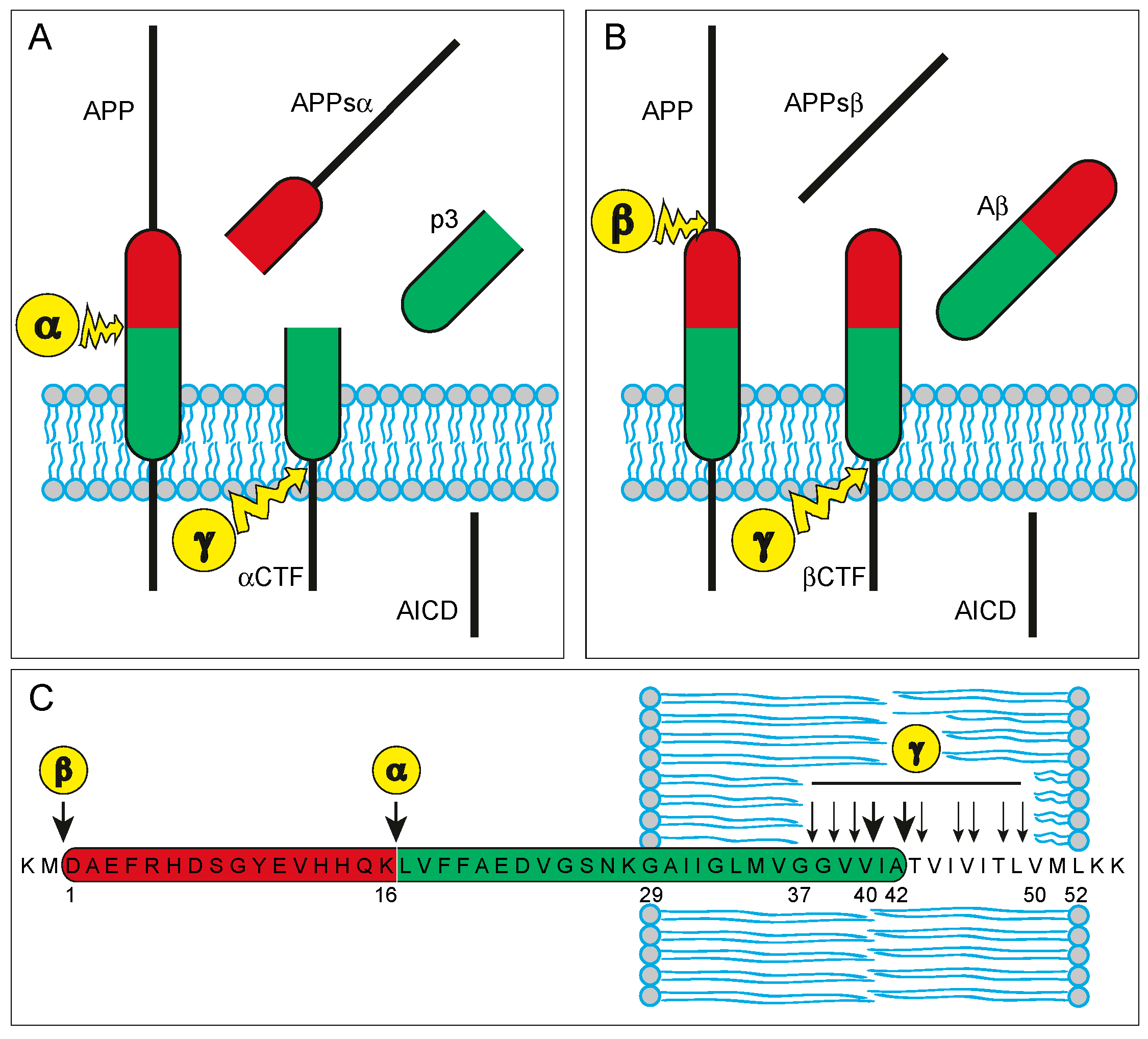 Diagnostics 07 00042 g001