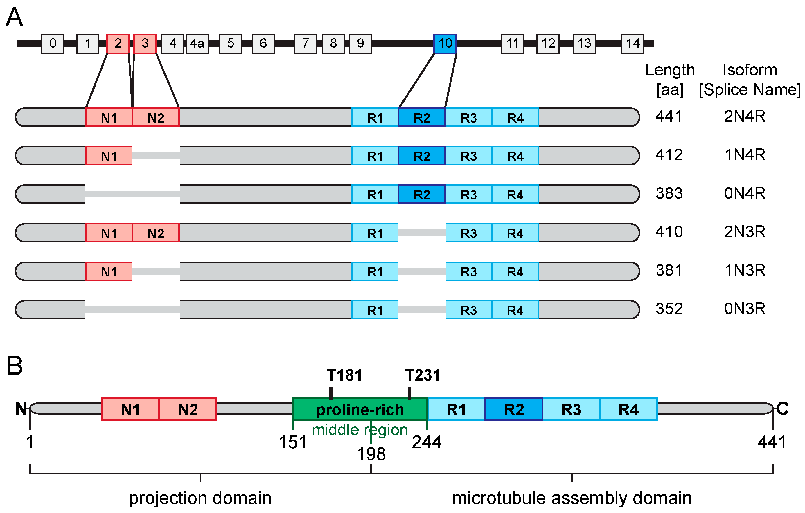 Diagnostics 07 00042 g002