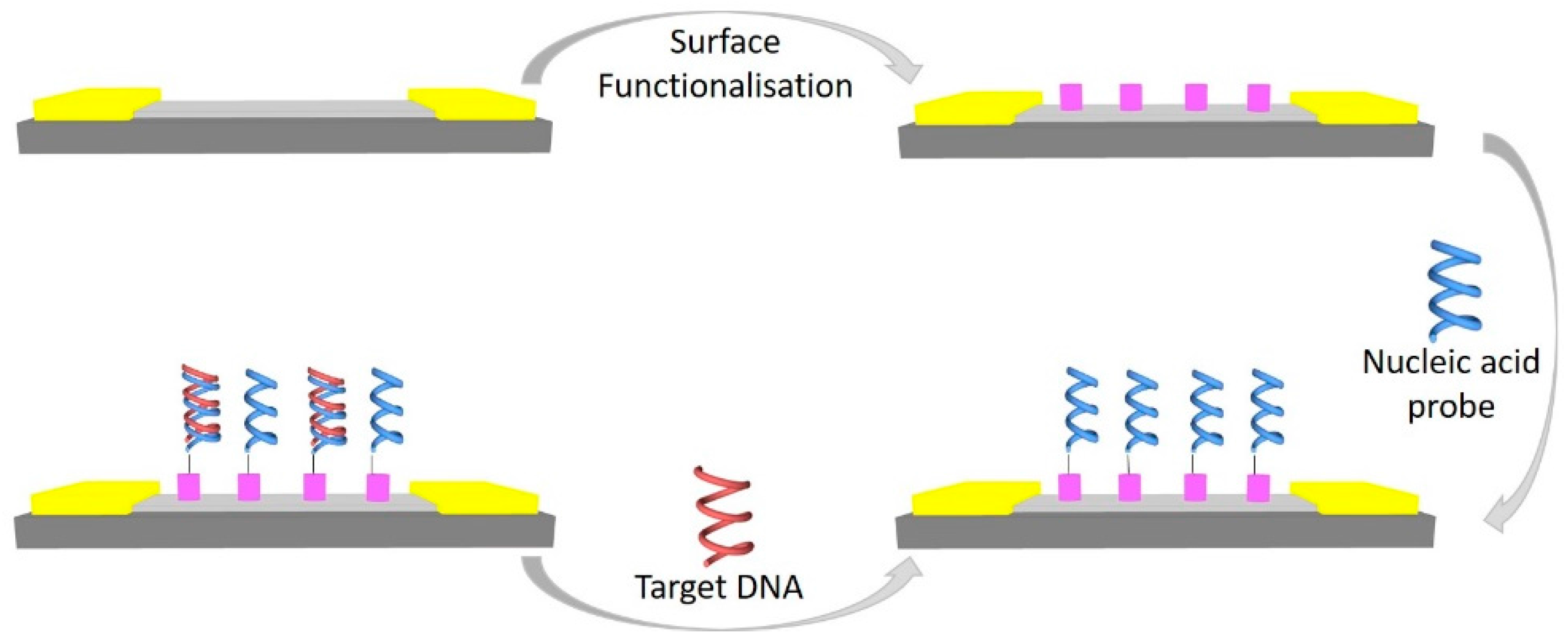 Diagnostics 07 00045 g002
