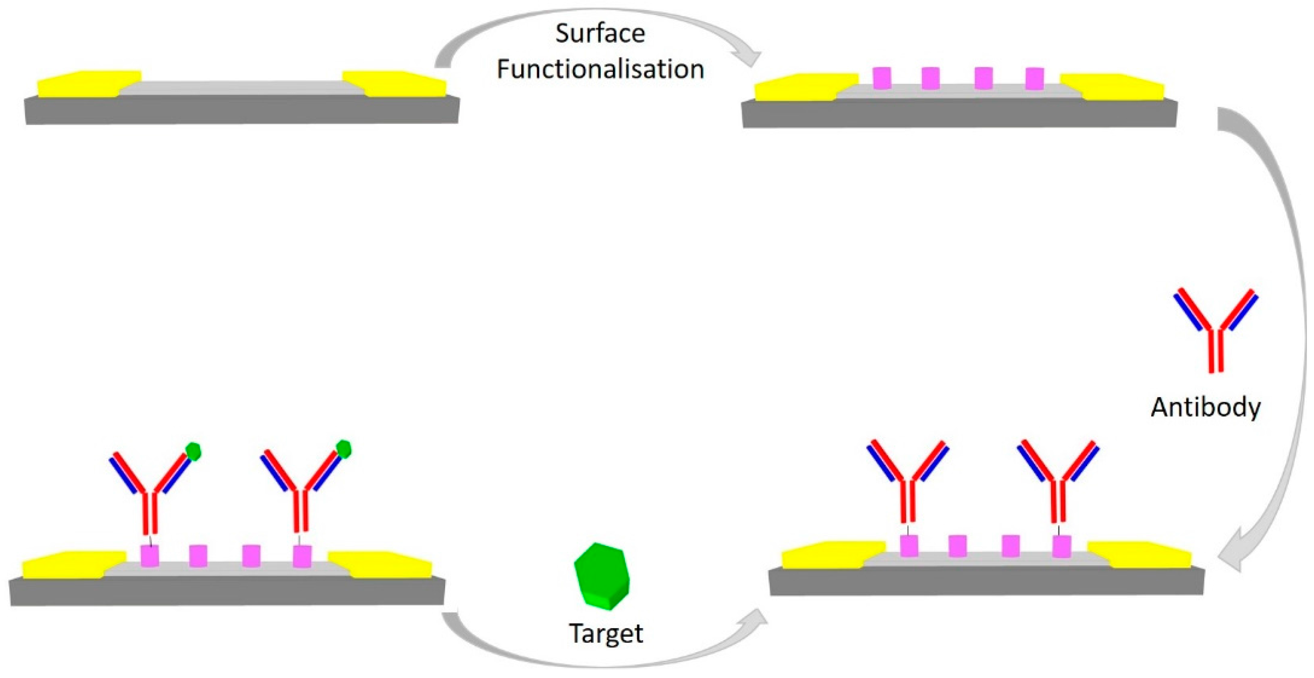 Diagnostics 07 00045 g008