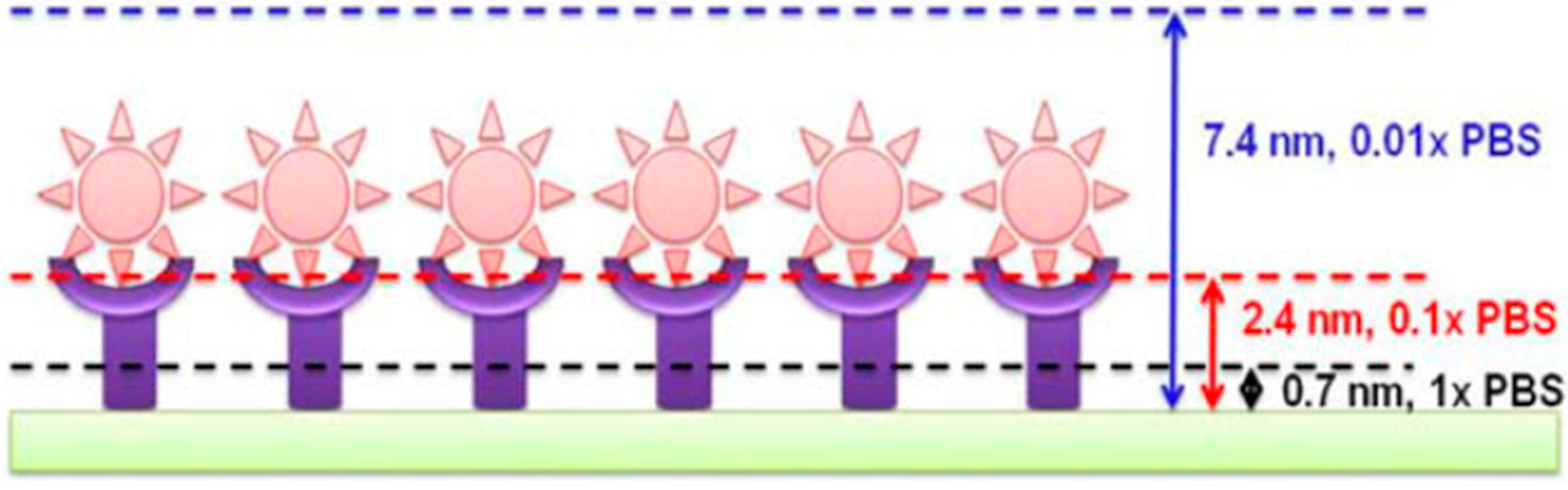 Diagnostics 07 00045 g011