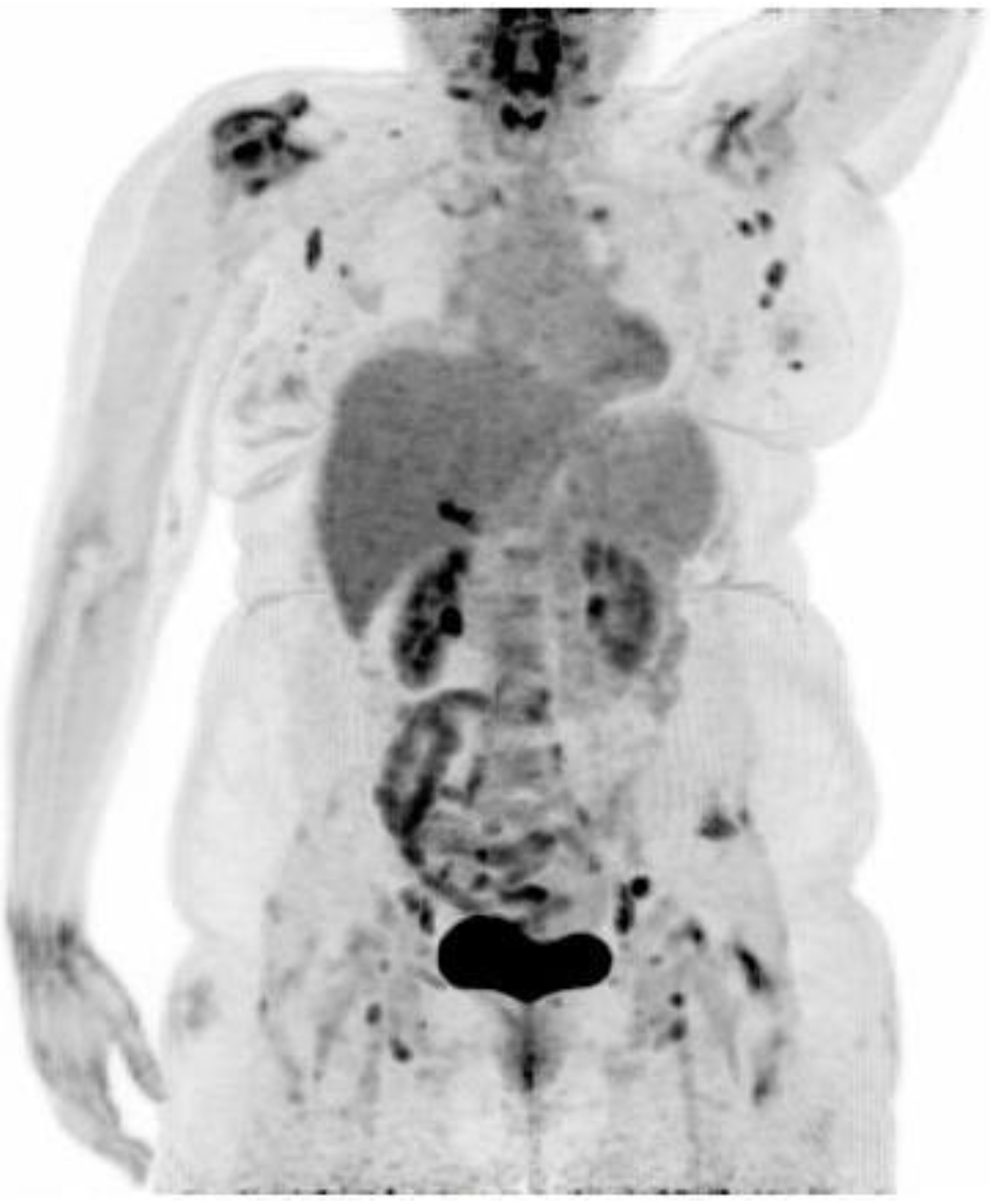 Diagnostics 07 00049 g001