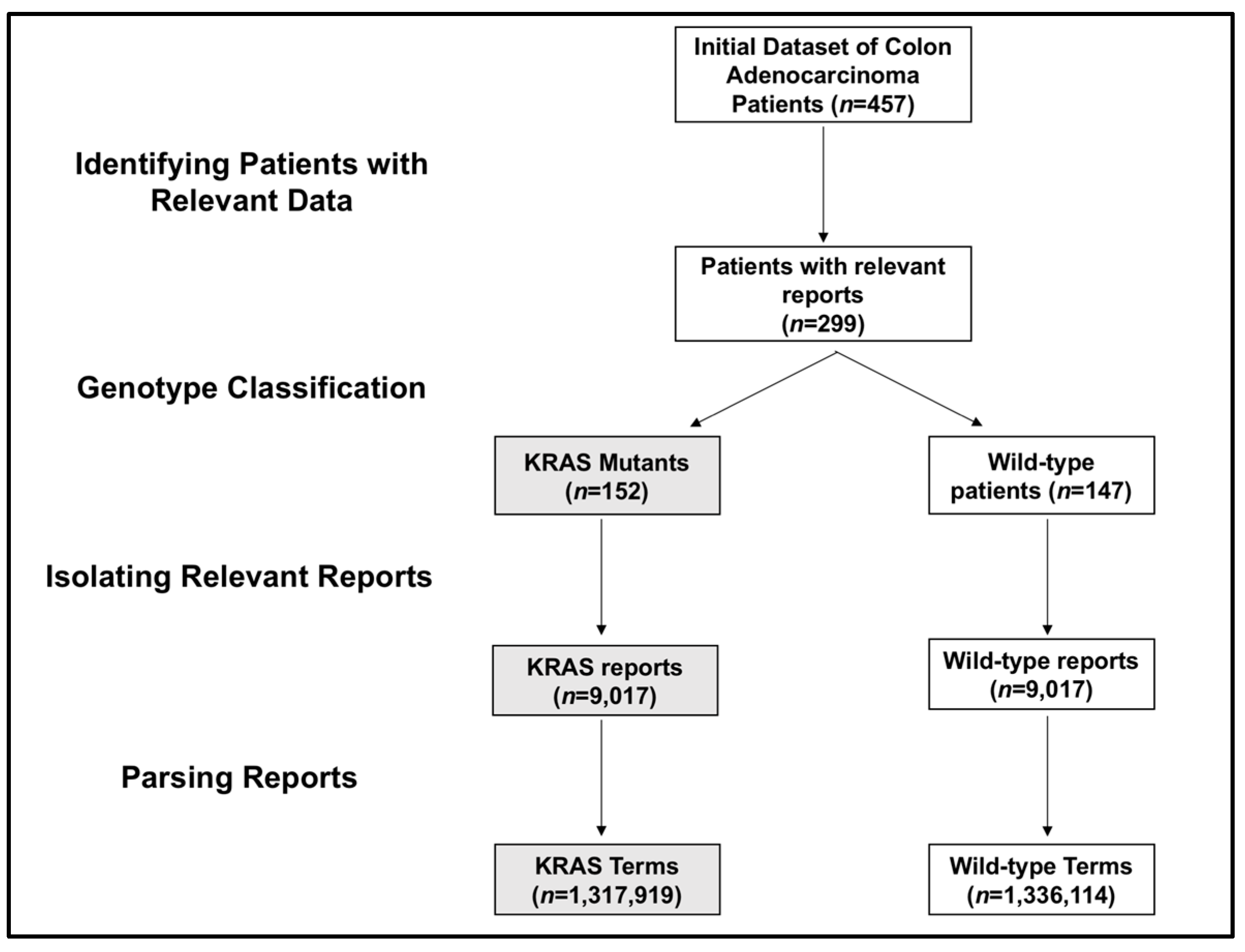Diagnostics 07 00050 g001