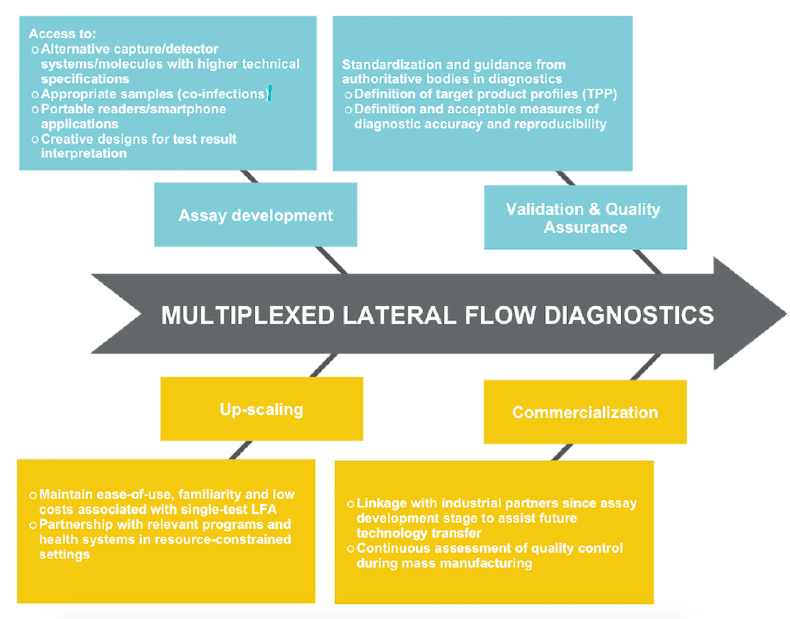 Diagnostics 07 00051 g001