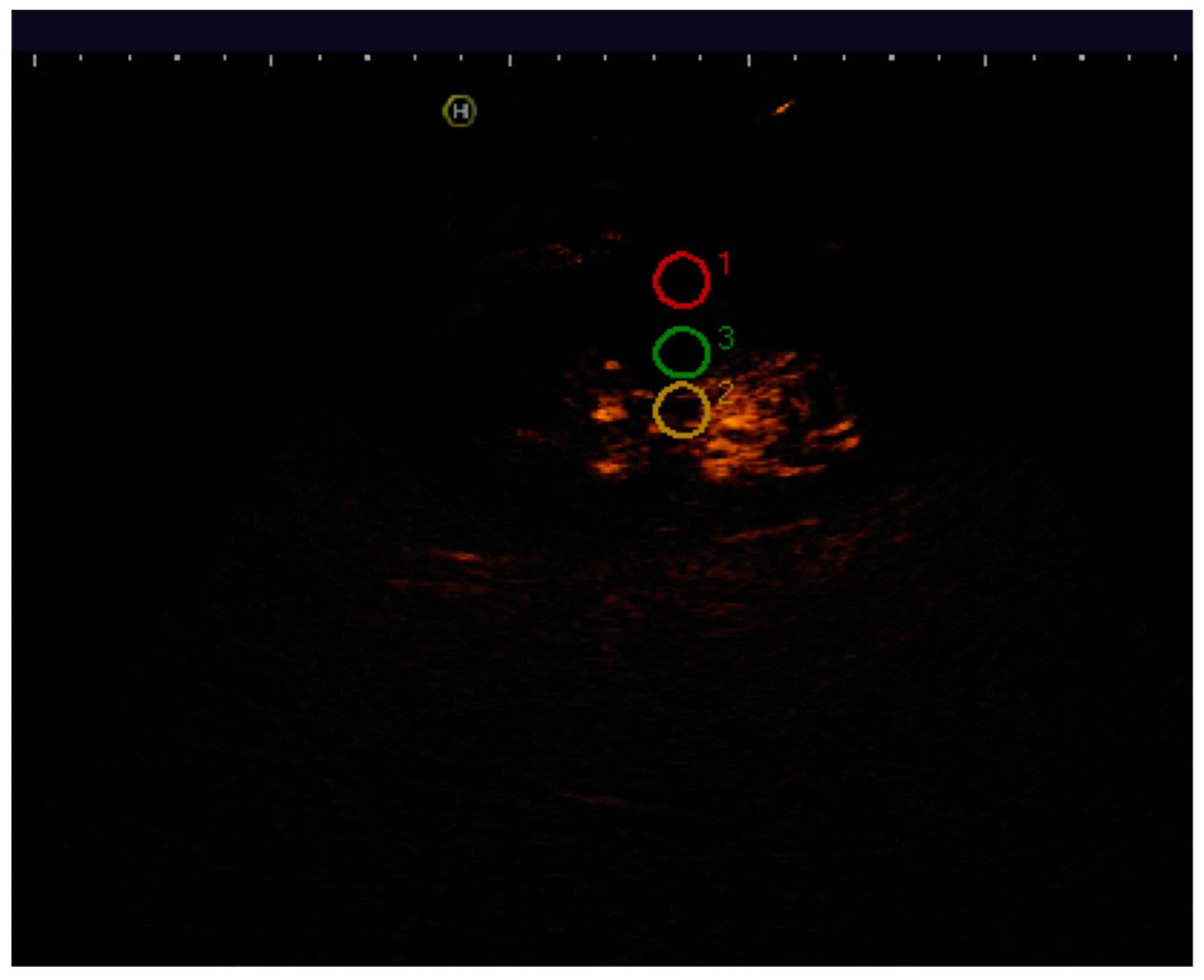 Diagnostics 07 00053 g001