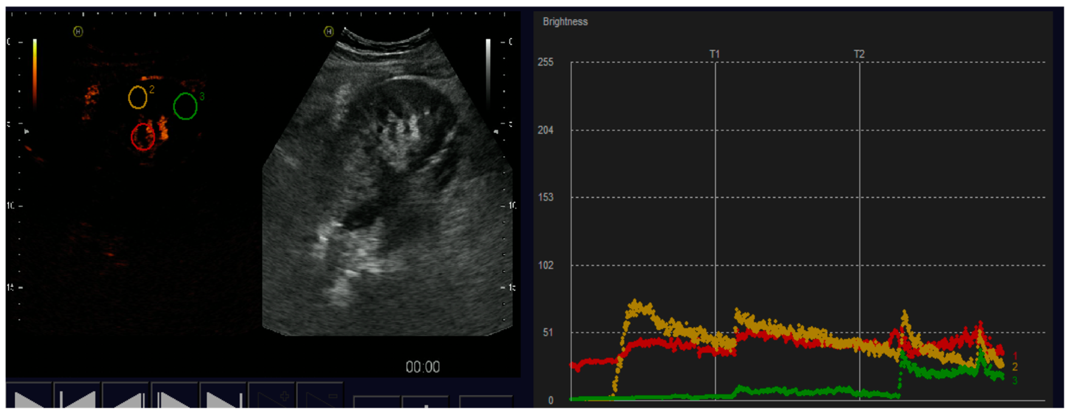 Diagnostics 07 00053 g003