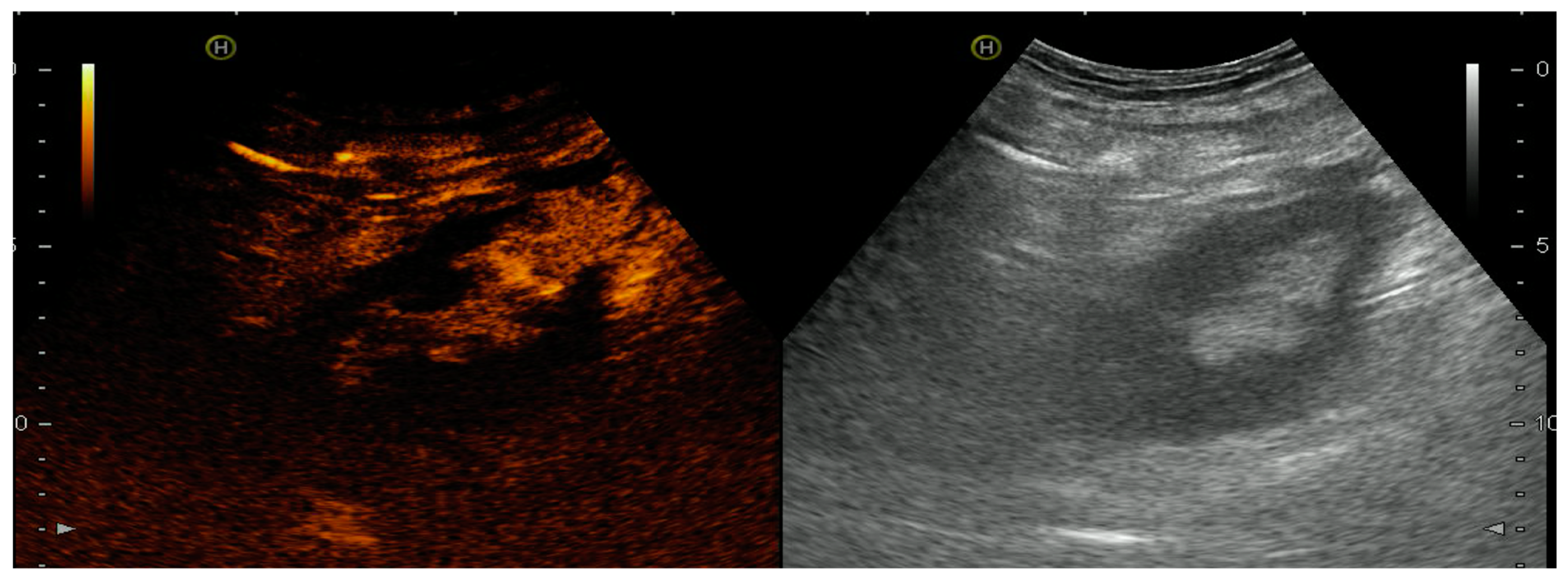 Diagnostics 07 00053 g004