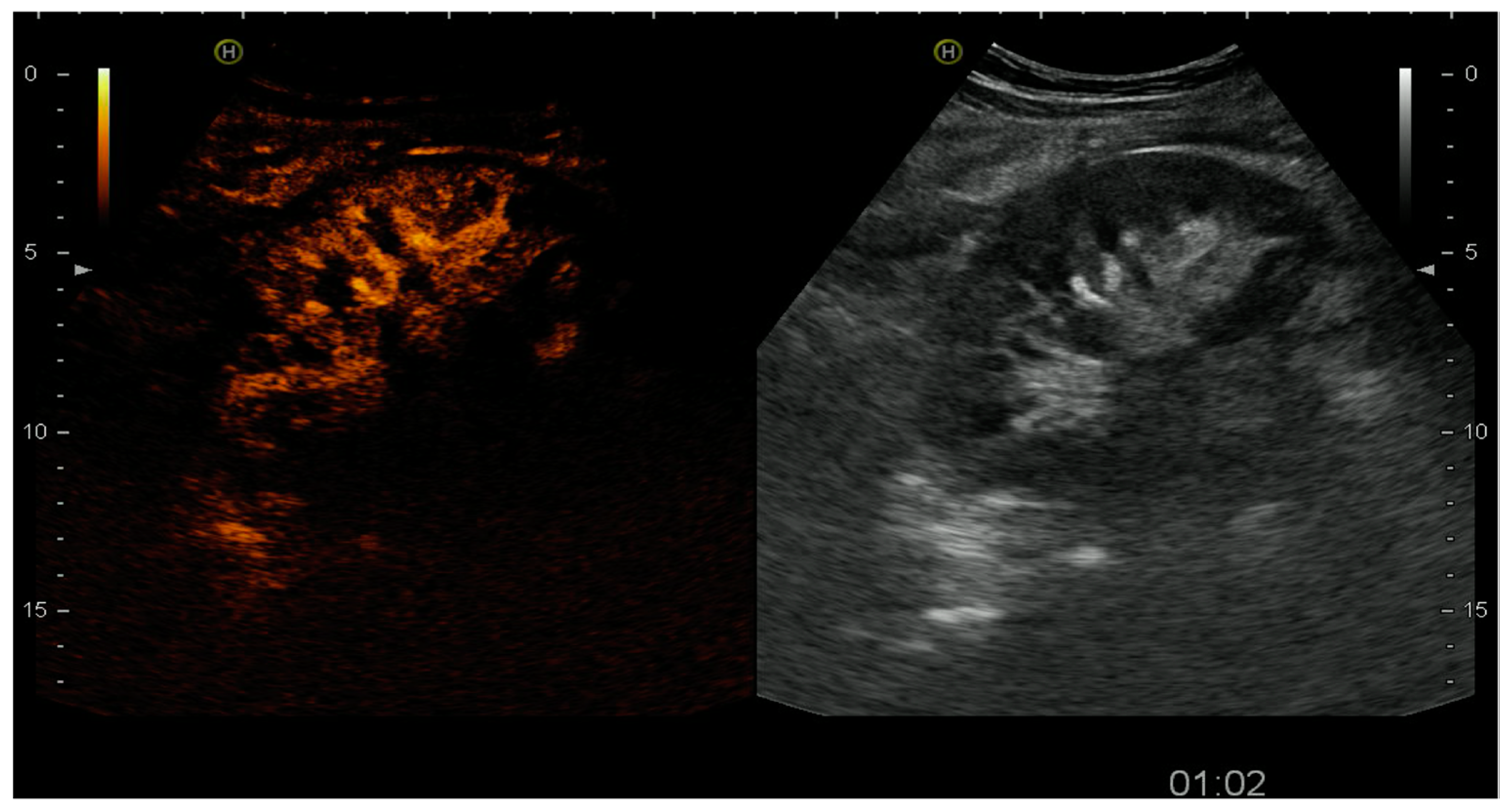 Diagnostics 07 00053 g005