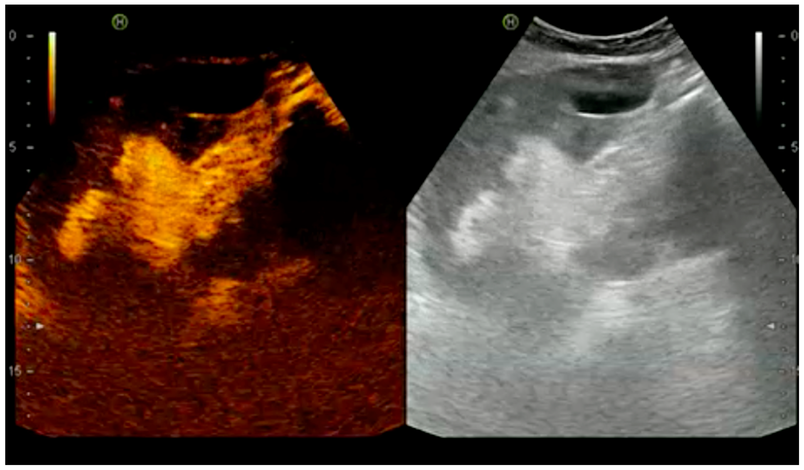 Diagnostics 07 00053 g006