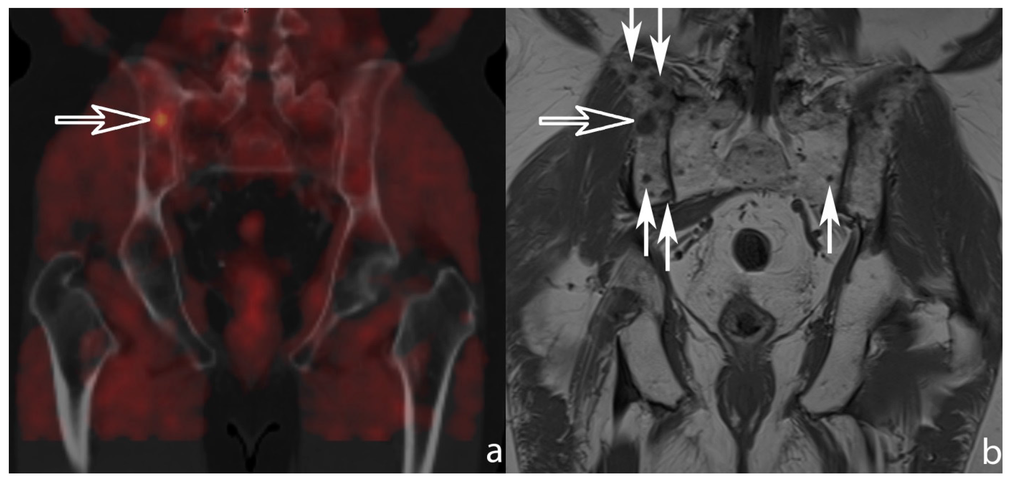 Diagnostics 07 00056 g001