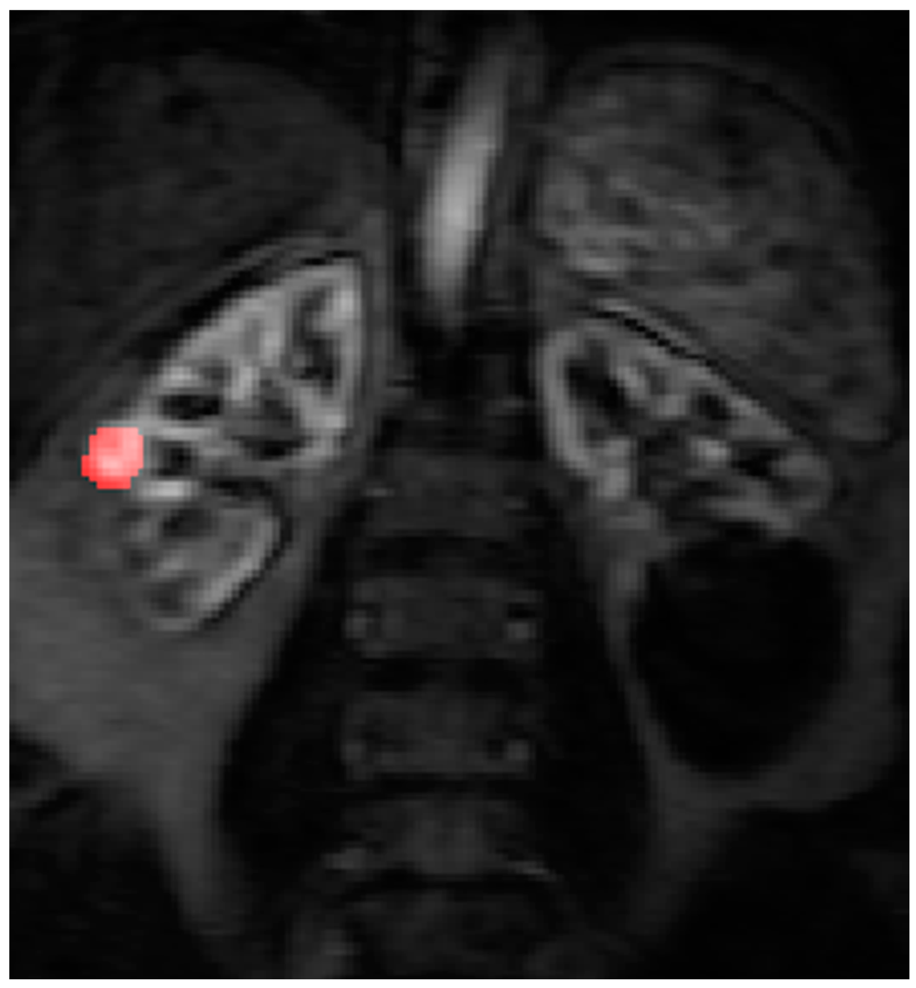 Diagnostics 08 00003 g003