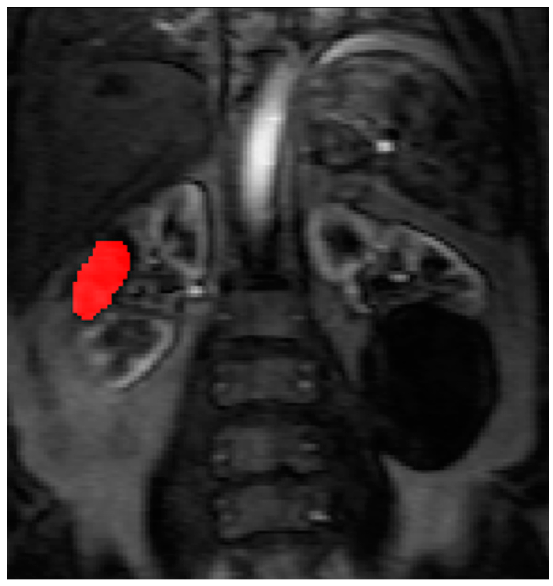 Diagnostics 08 00003 g004