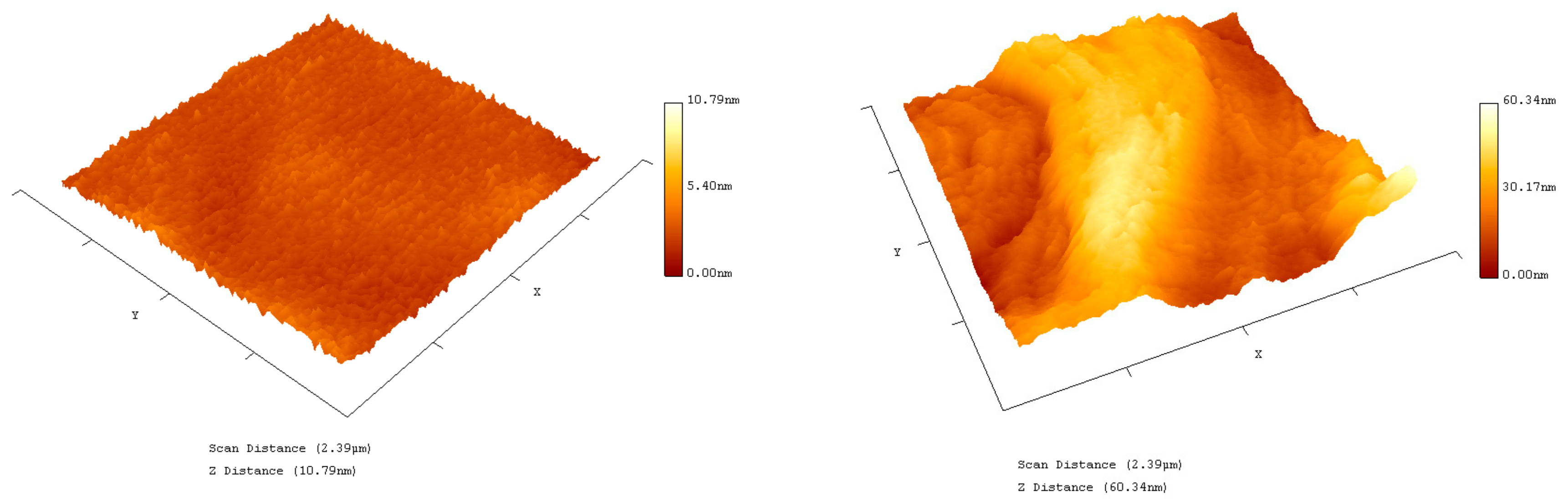 Diagnostics 08 00005 g006