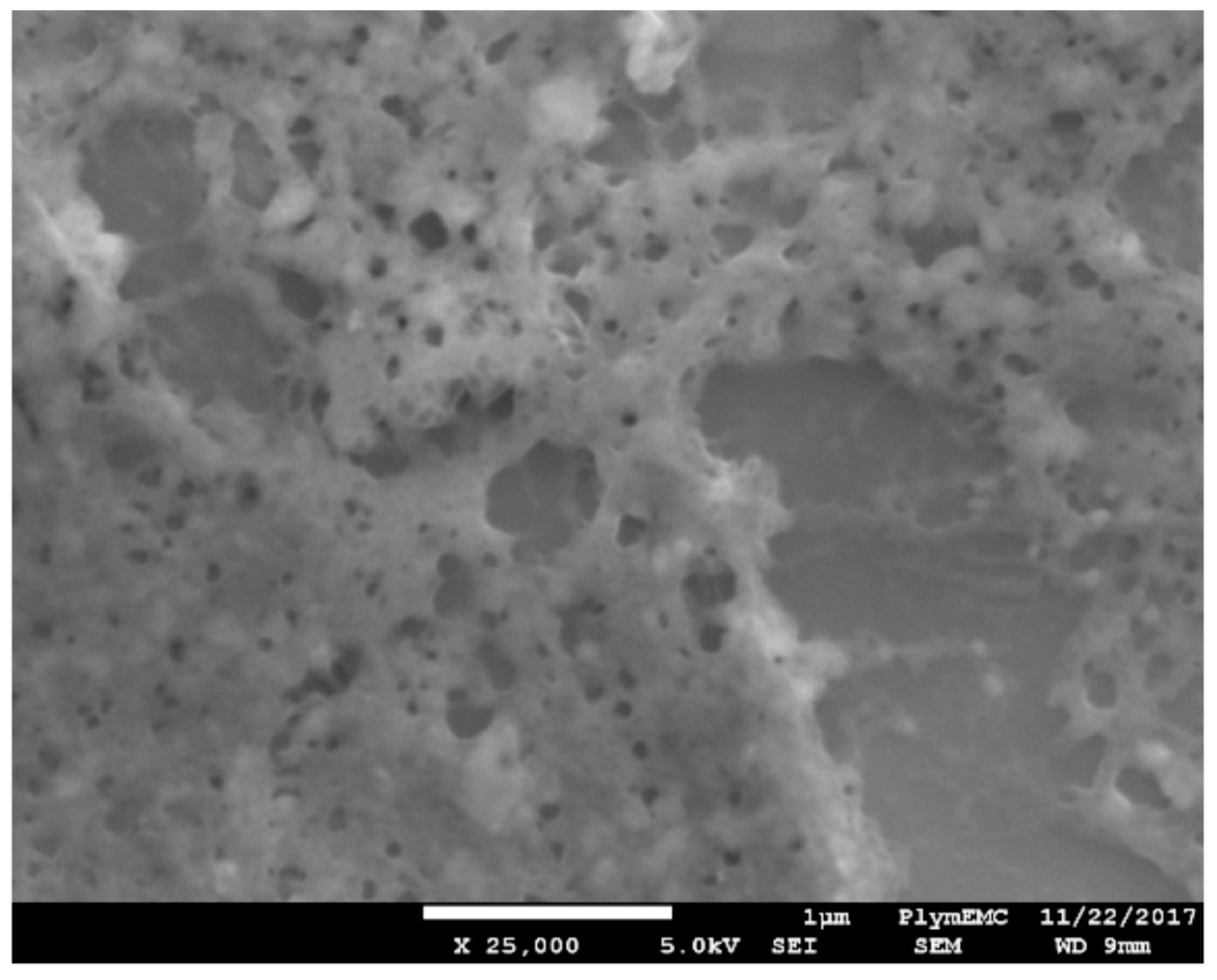 Diagnostics 08 00005 g007