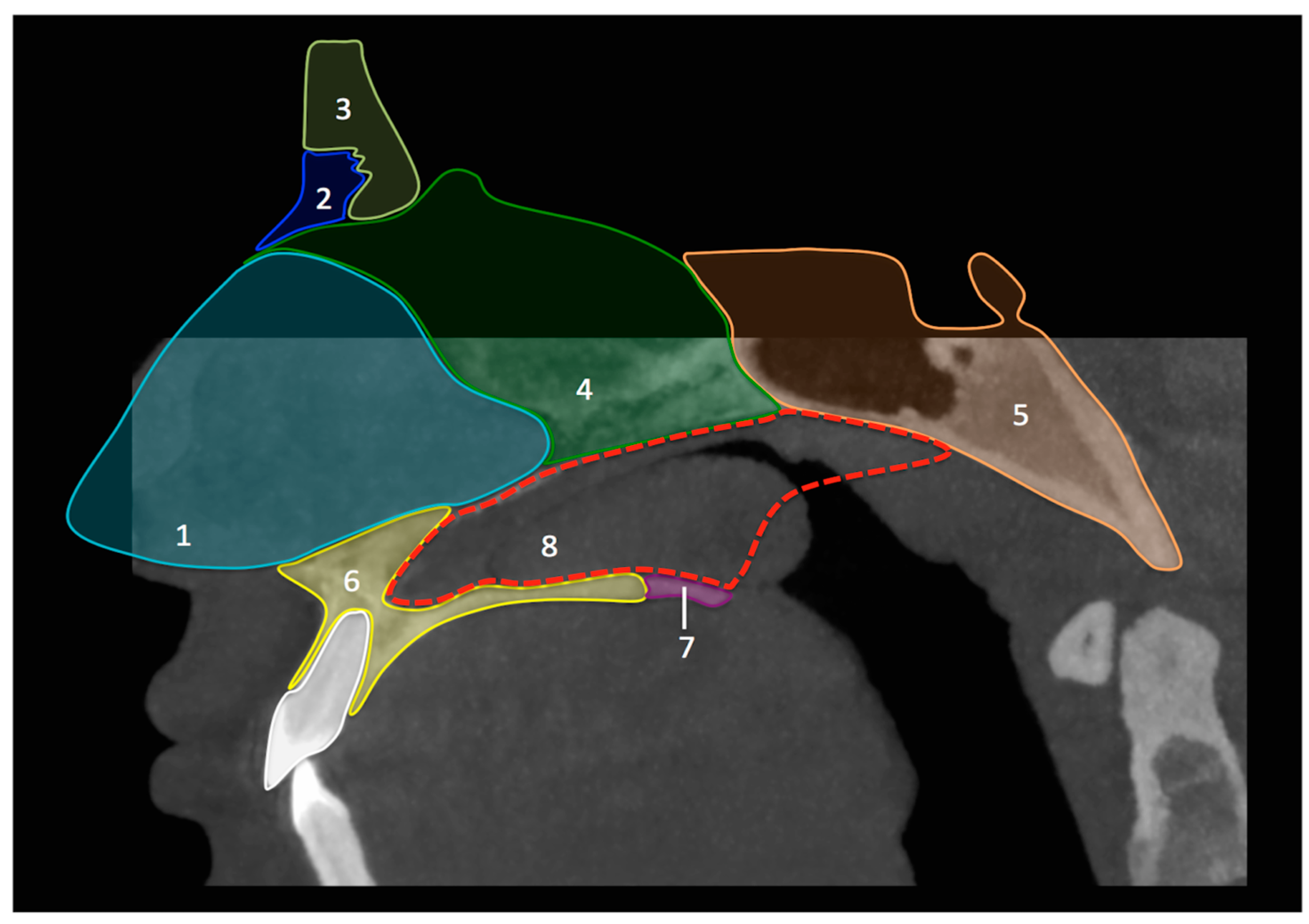 Diagnostics 08 00015 g002