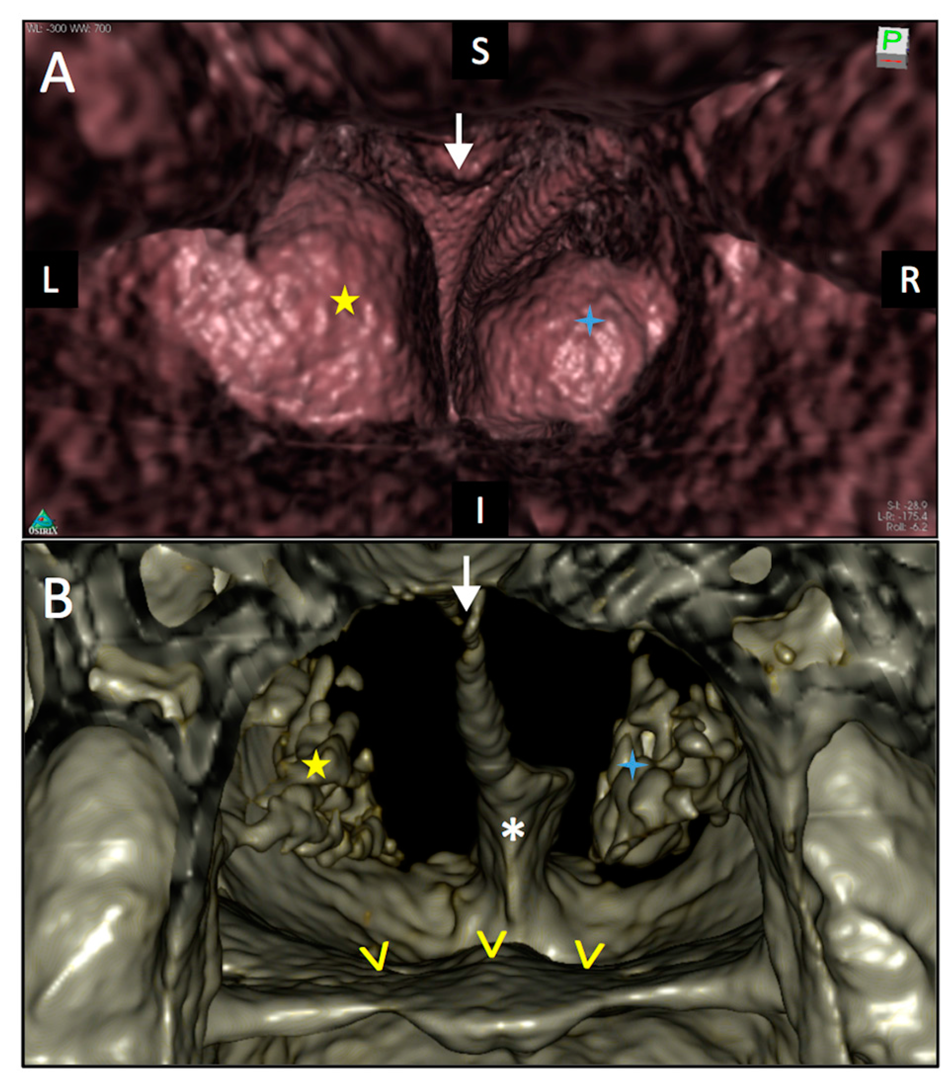 Diagnostics 08 00015 g003
