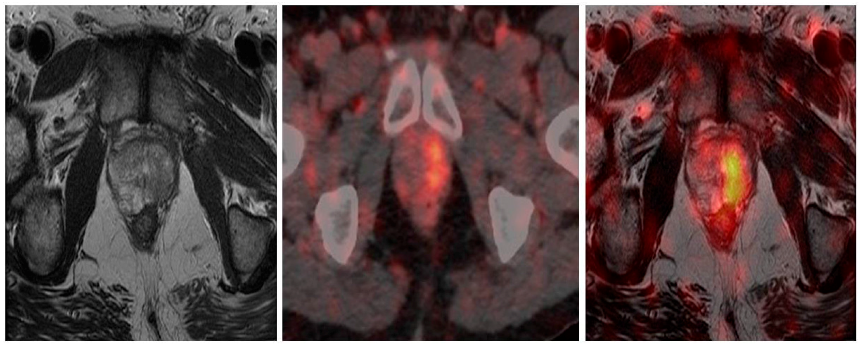 Diagnostics 08 00016 g003