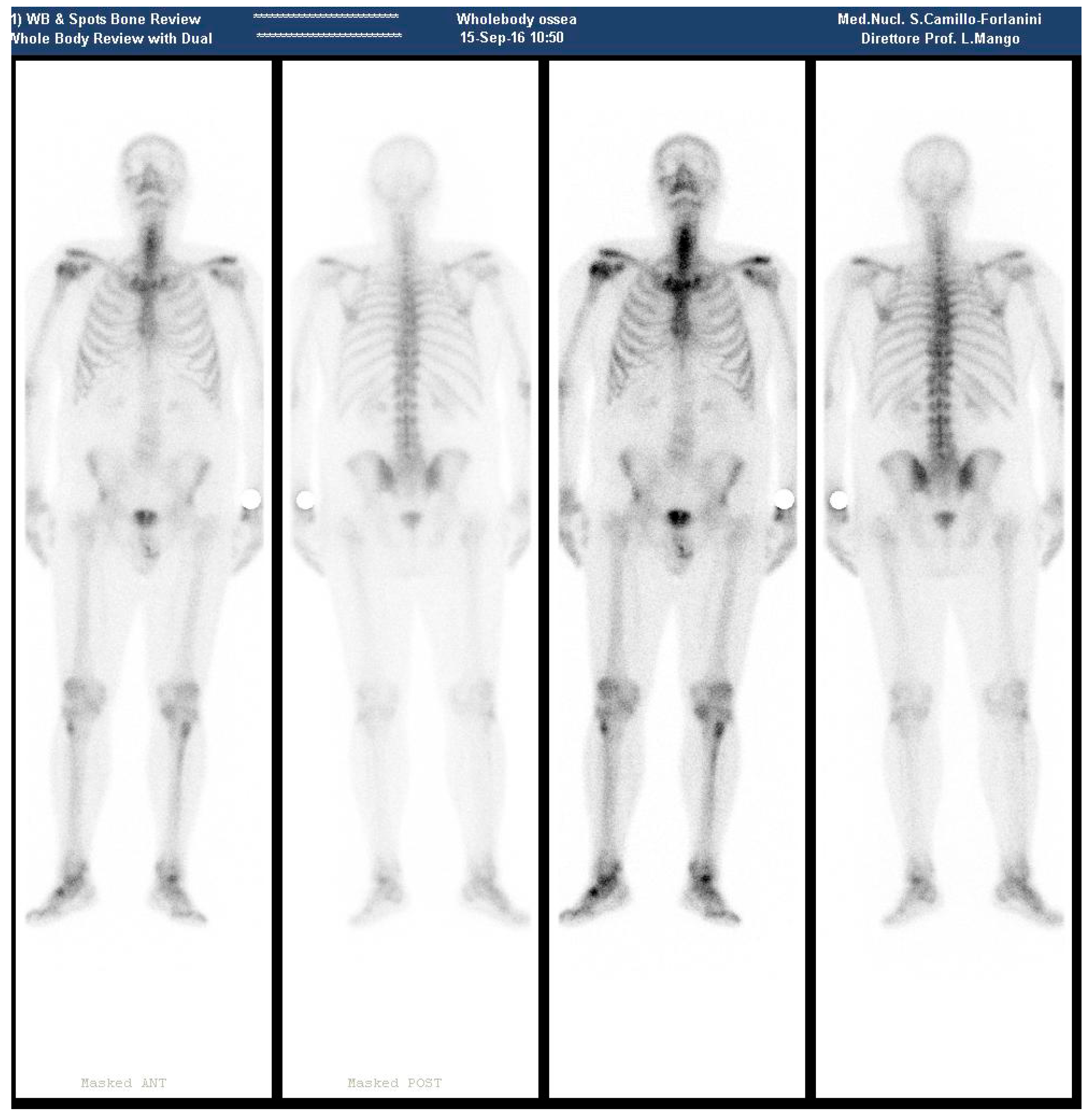 Diagnostics 08 00018 g002