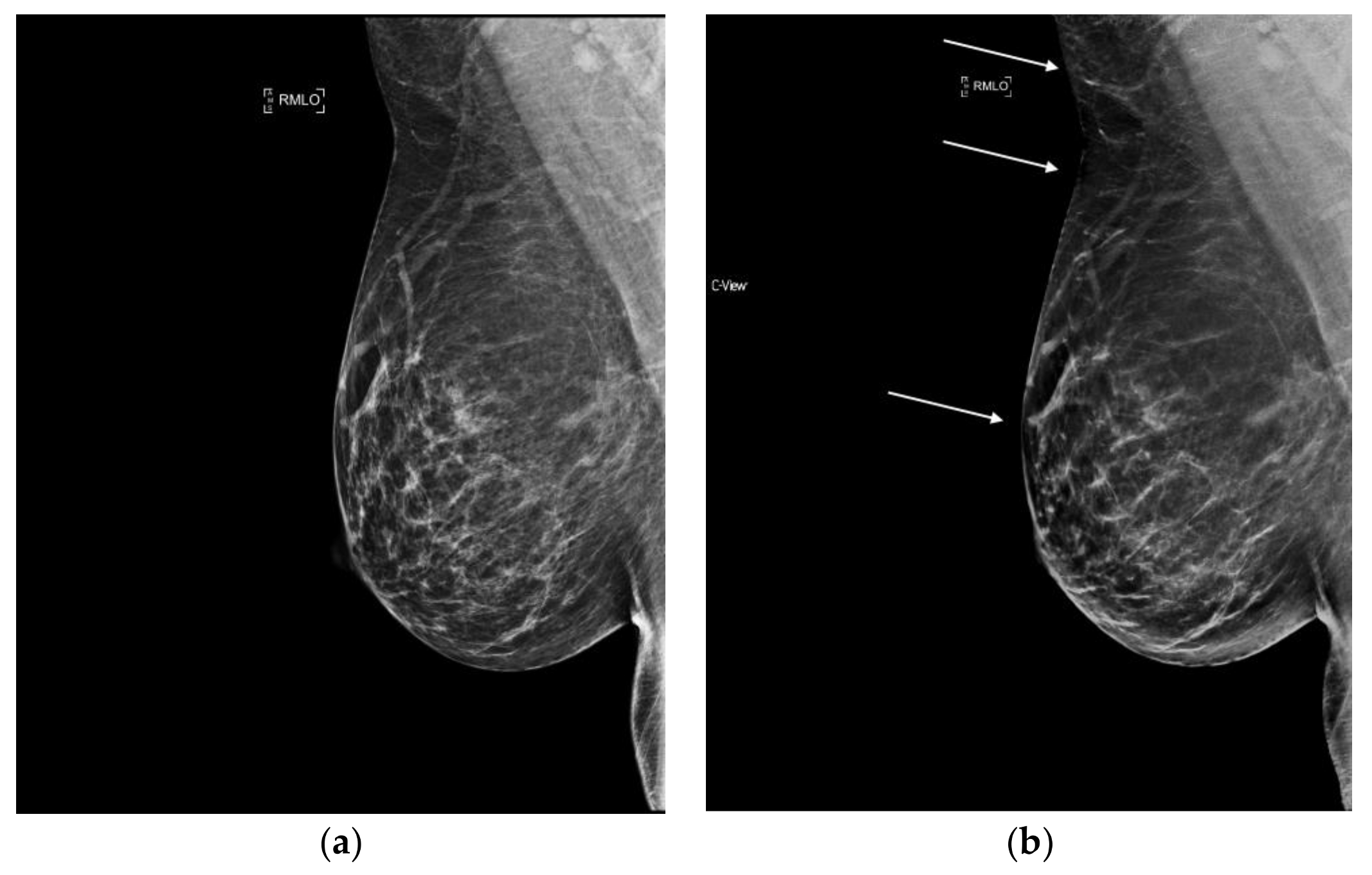 Diagnostics 08 00022 g007