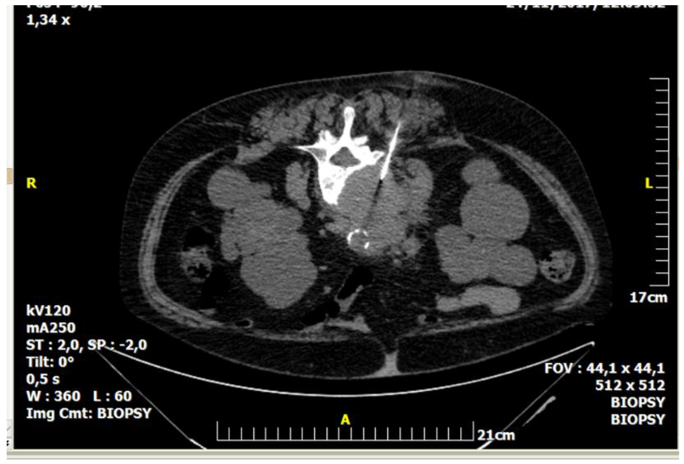 Diagnostics 08 00025 g001