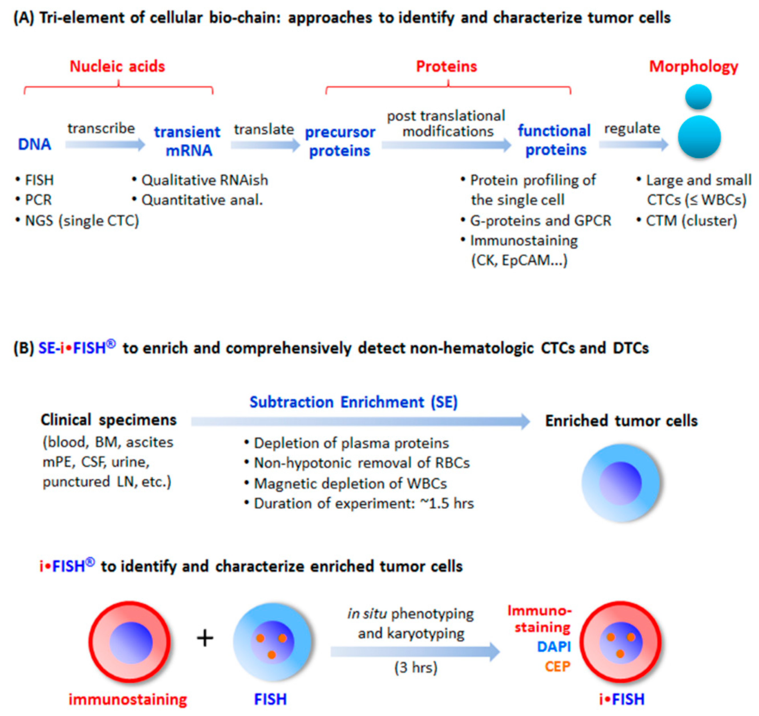 Diagnostics 08 00026 g001
