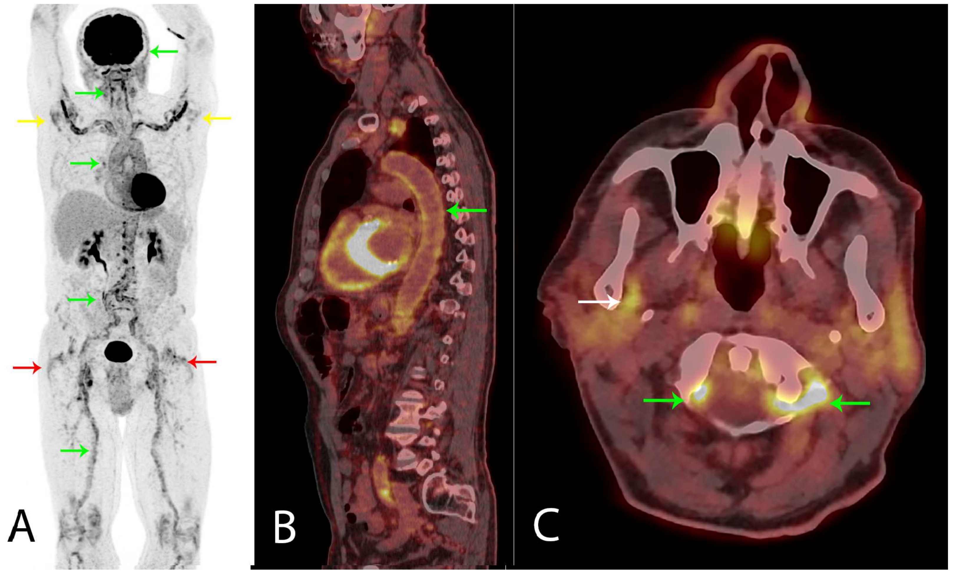 Diagnostics 08 00027 g001