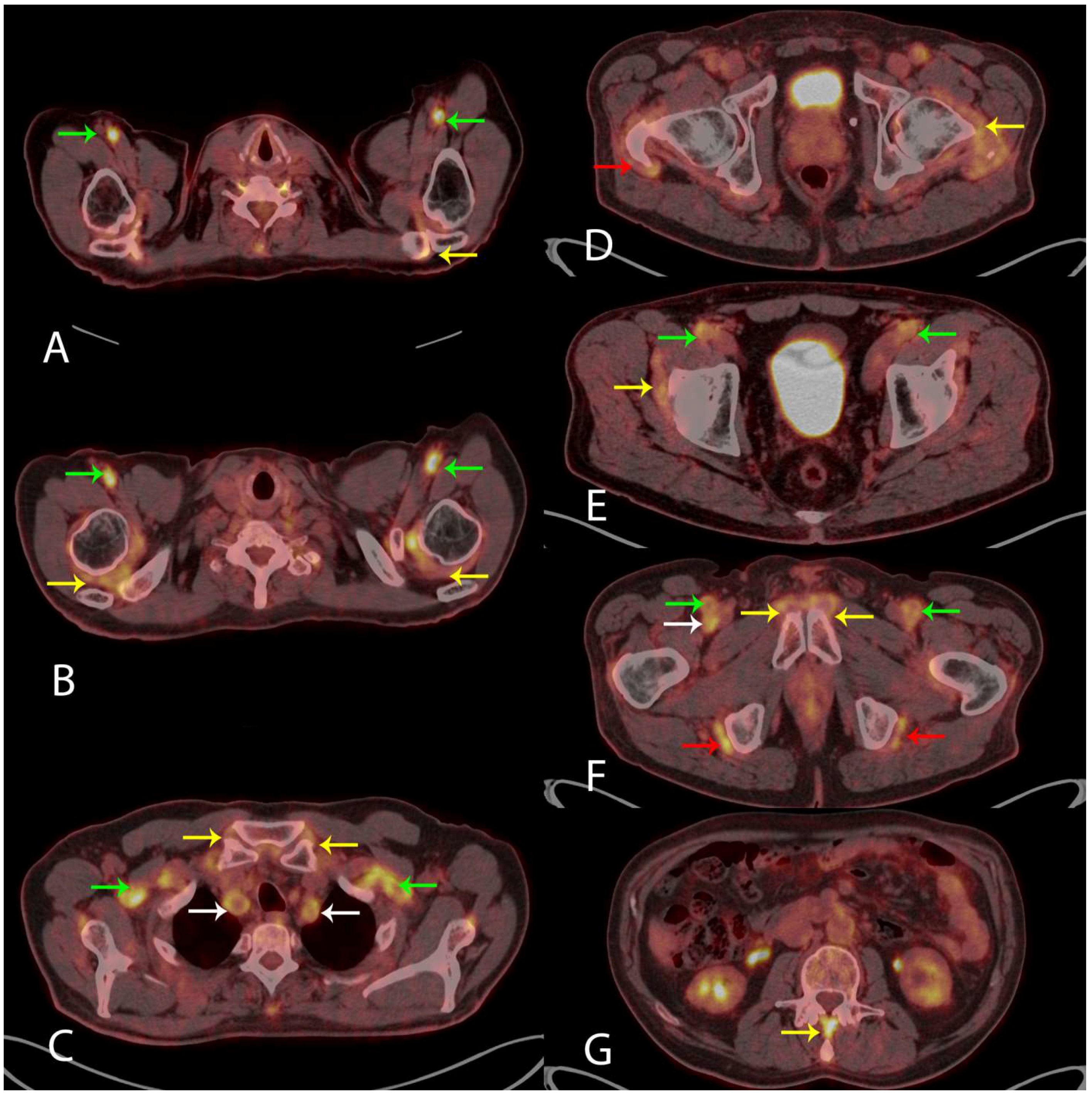 Diagnostics 08 00027 g002