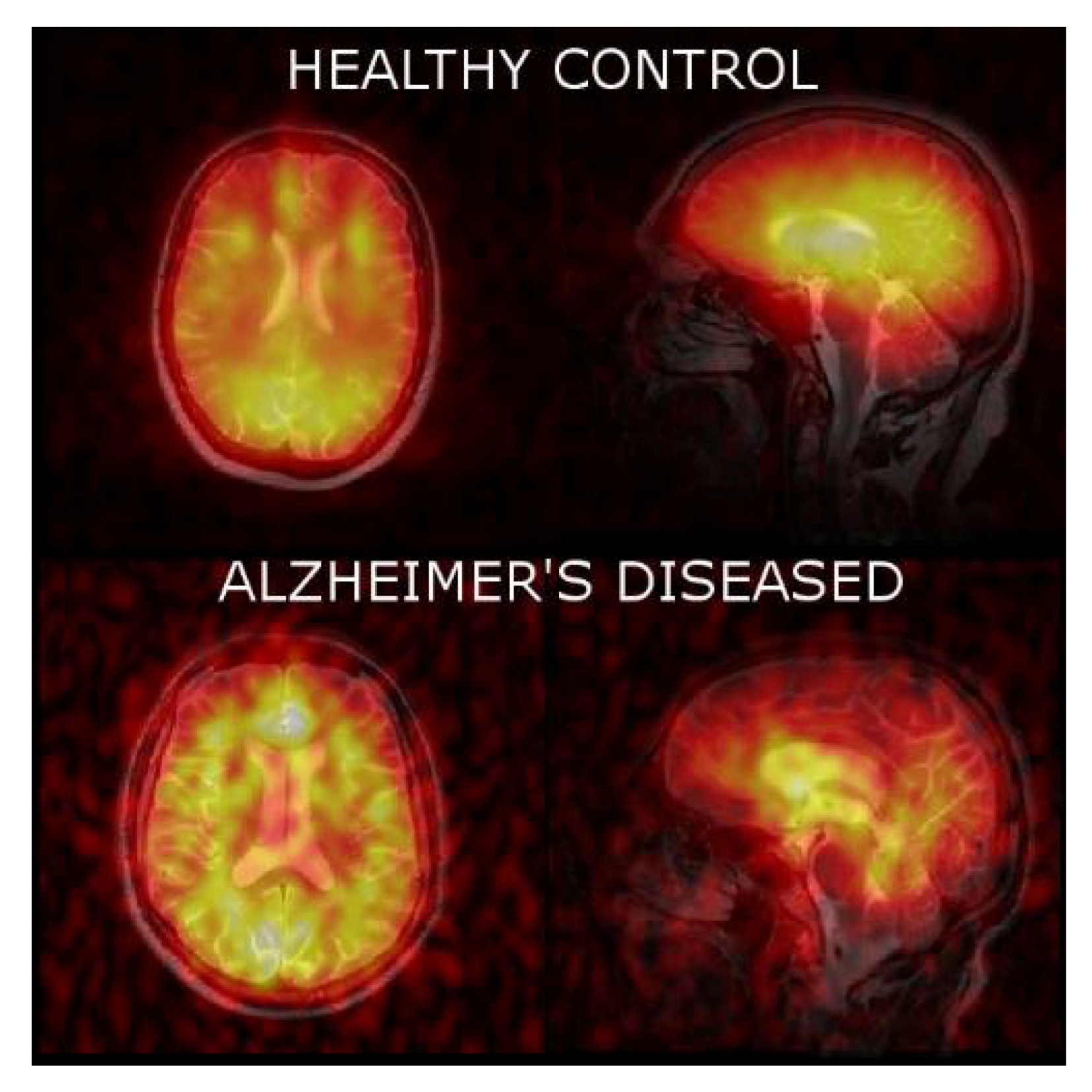 Diagnostics 08 00041 g004