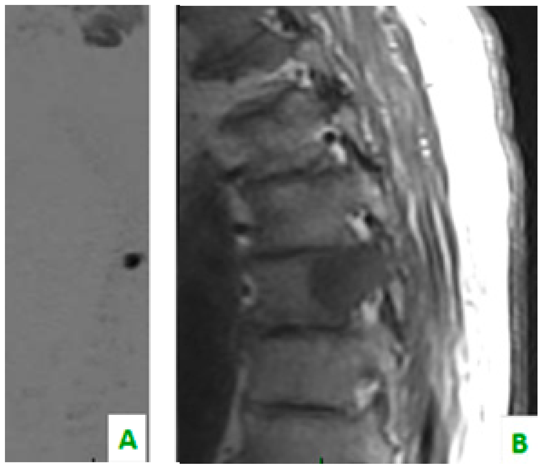 Diagnostics 08 00045 g001