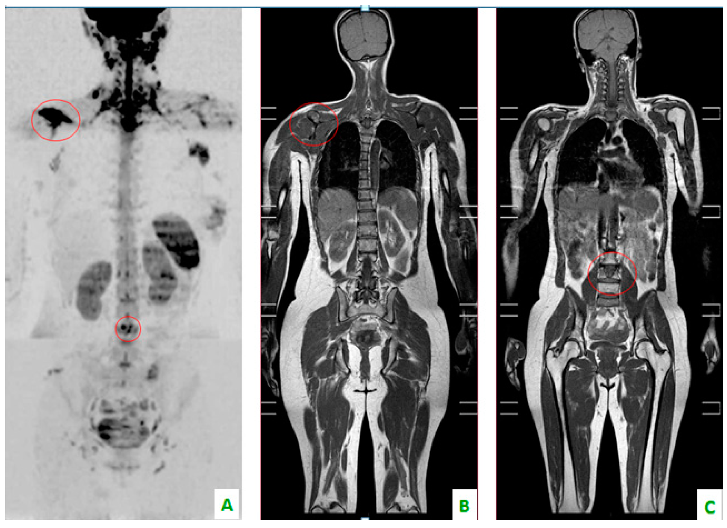 Diagnostics 08 00045 g002