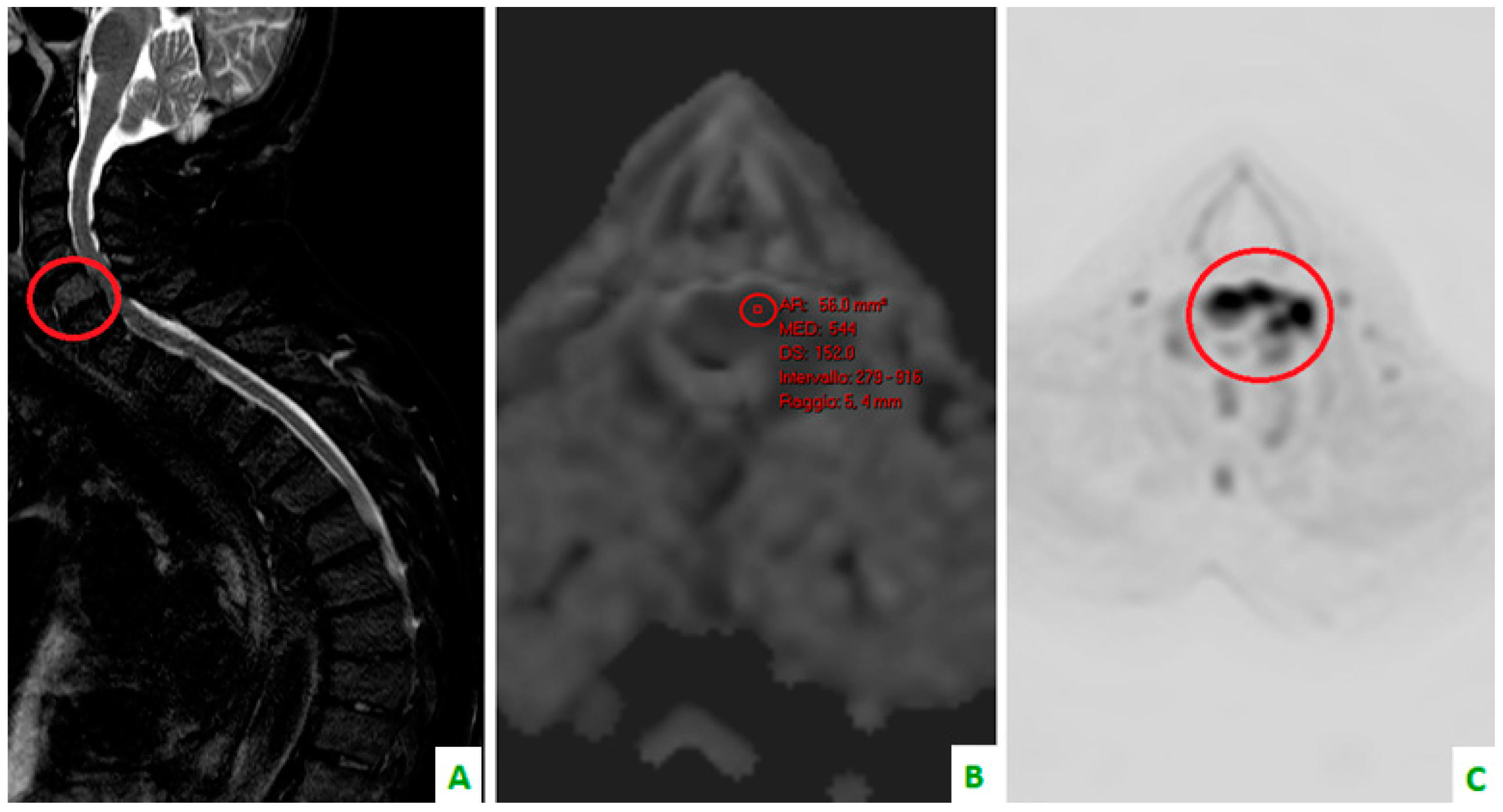 Diagnostics 08 00045 g004