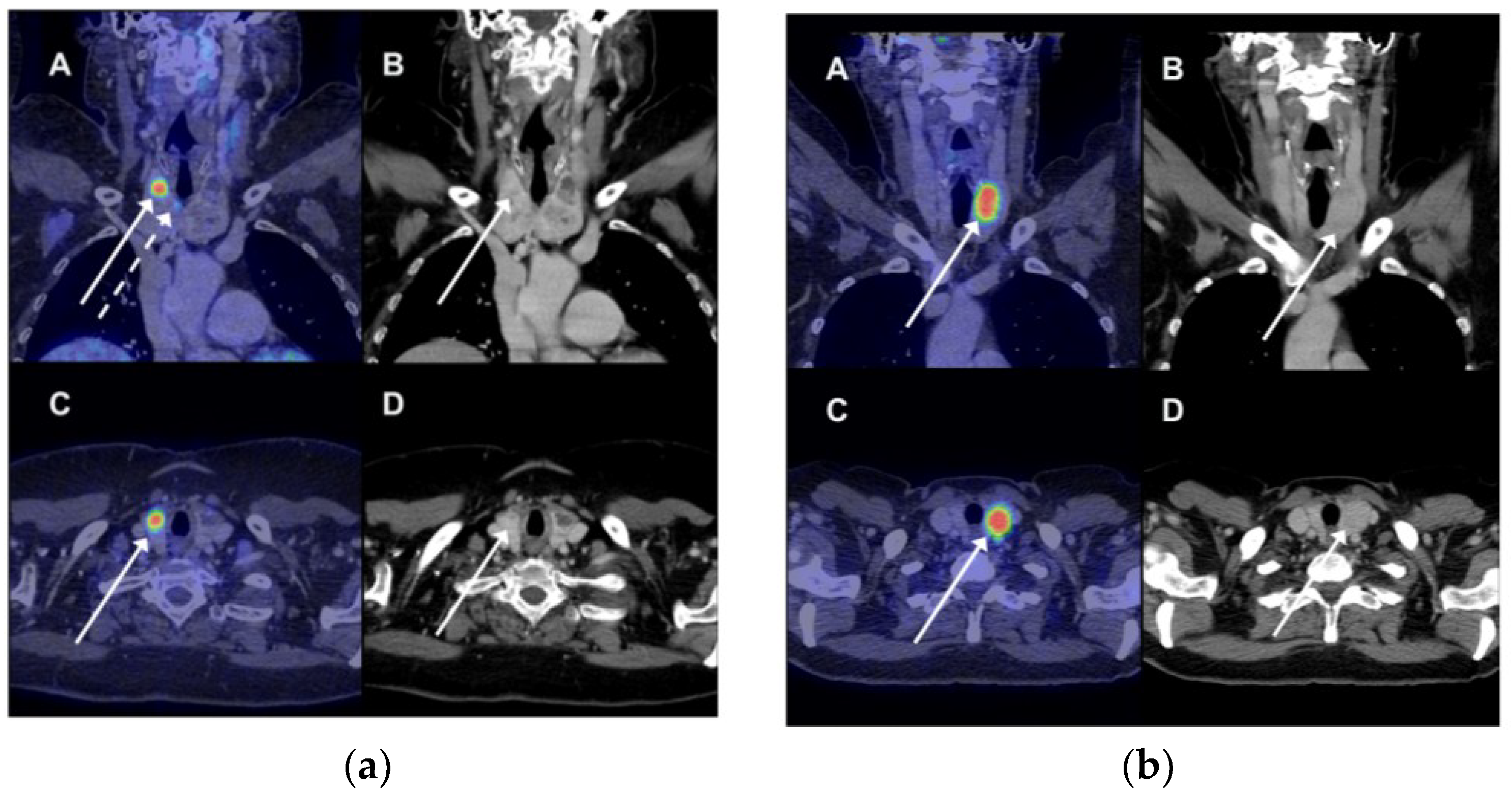 Diagnostics 08 00046 g001